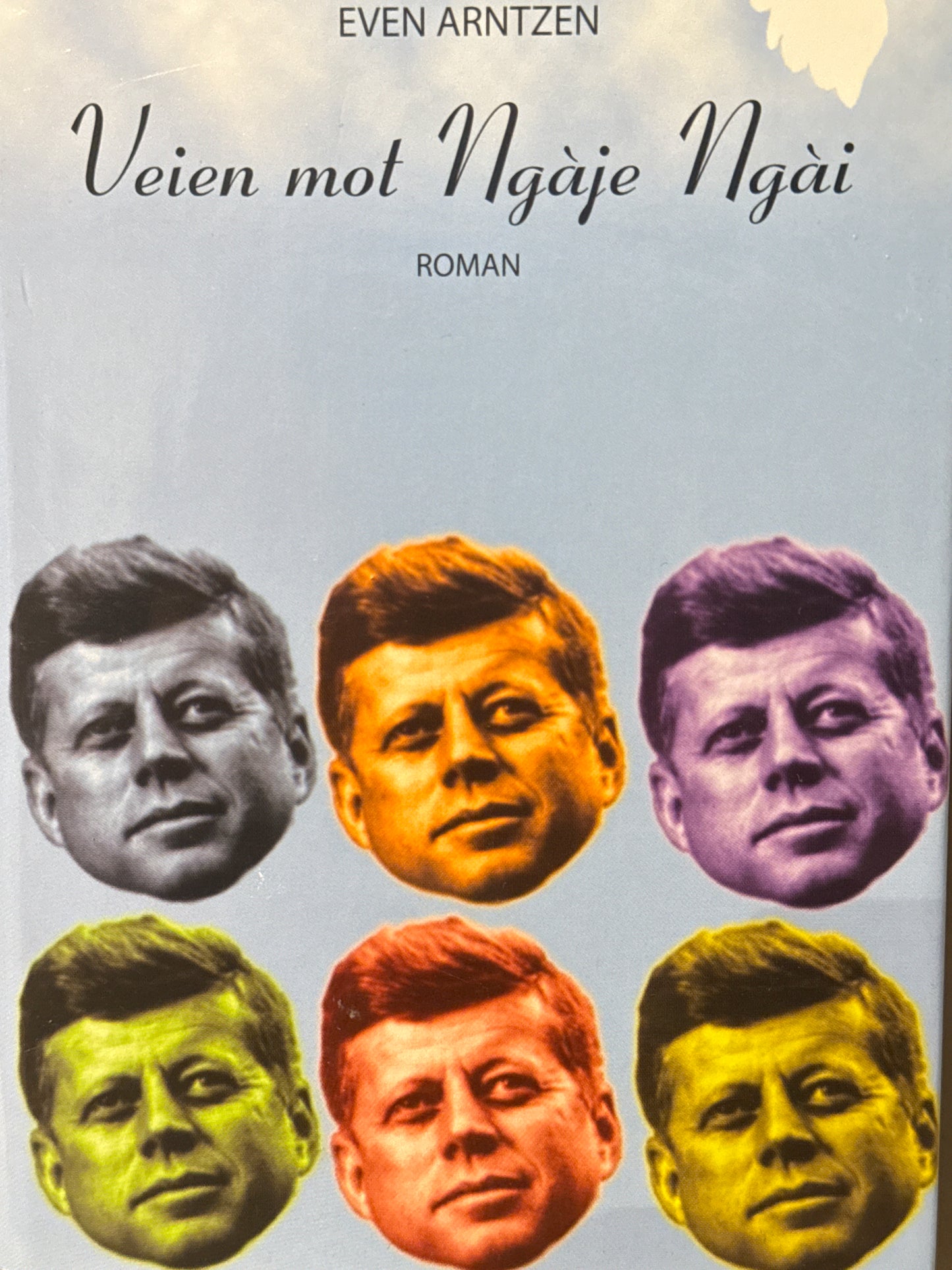 Veien mot Ngàje Ngài - Innbundet