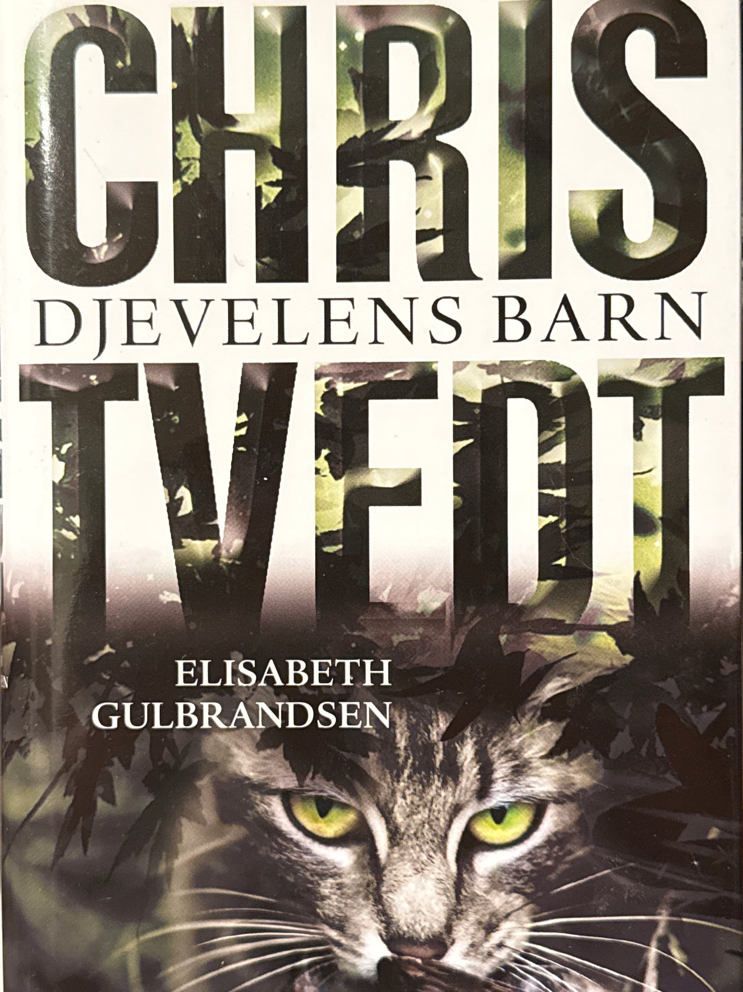 Djevelens barn - Innbundet