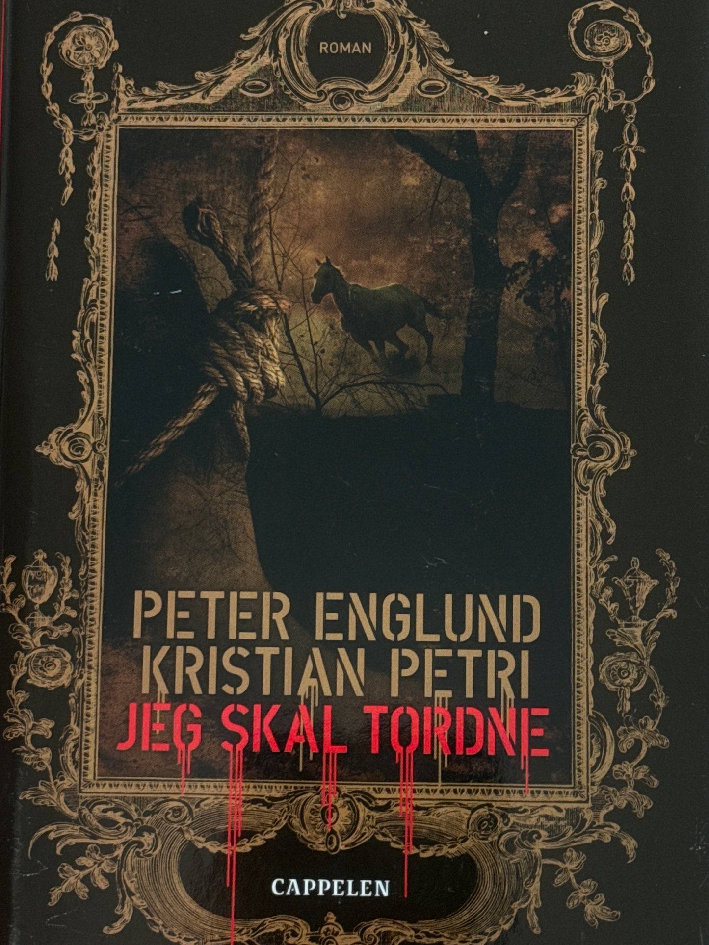 Jeg skal tordne - Innbundet