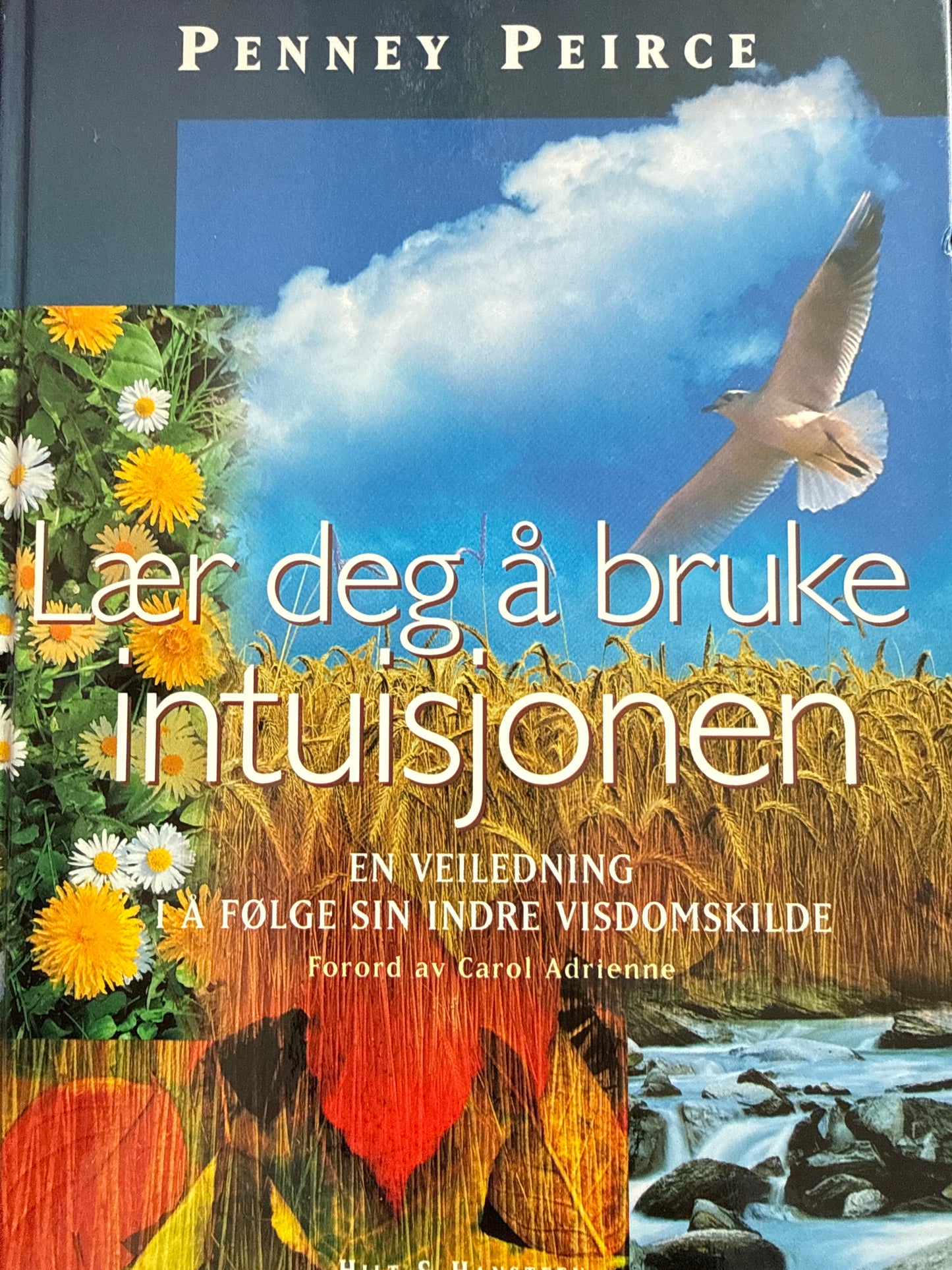 Lær deg å bruke intuisjonen - Innbundet