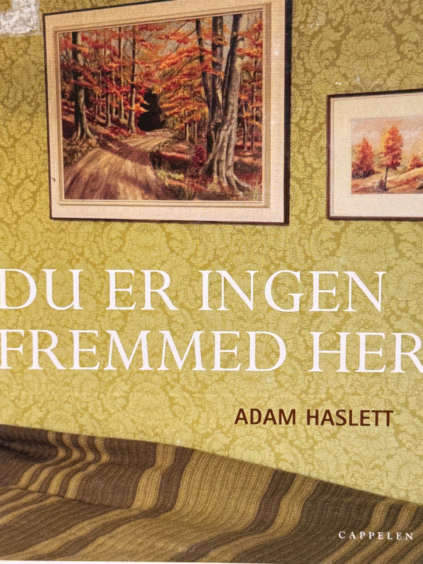 Du er ingen fremmed her - Innbundet