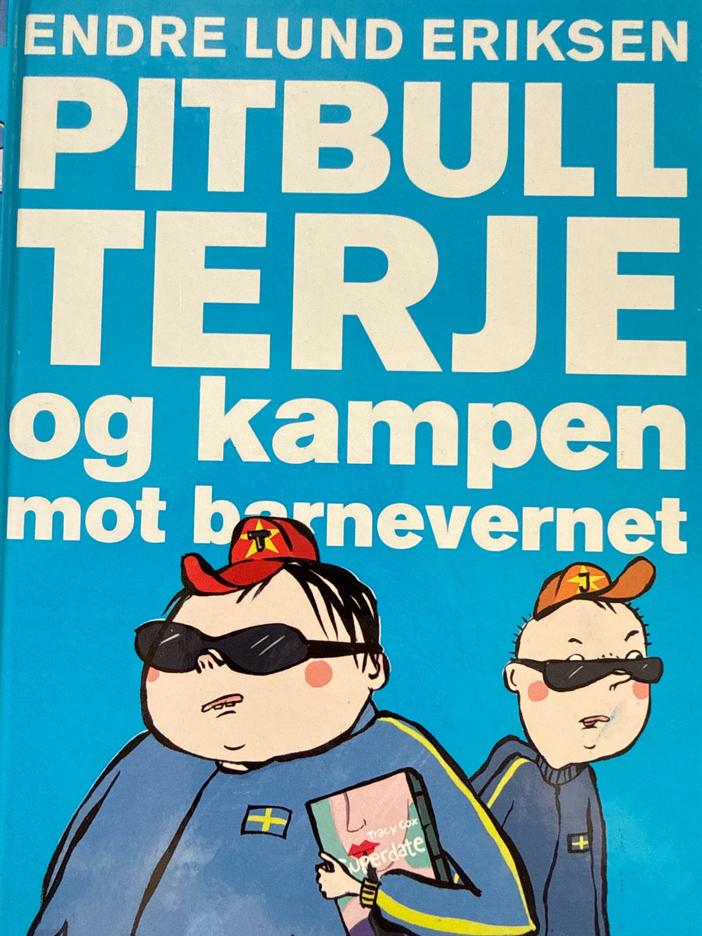 Pitbull-Terje og kampen mot barnevernet - Innbundet
