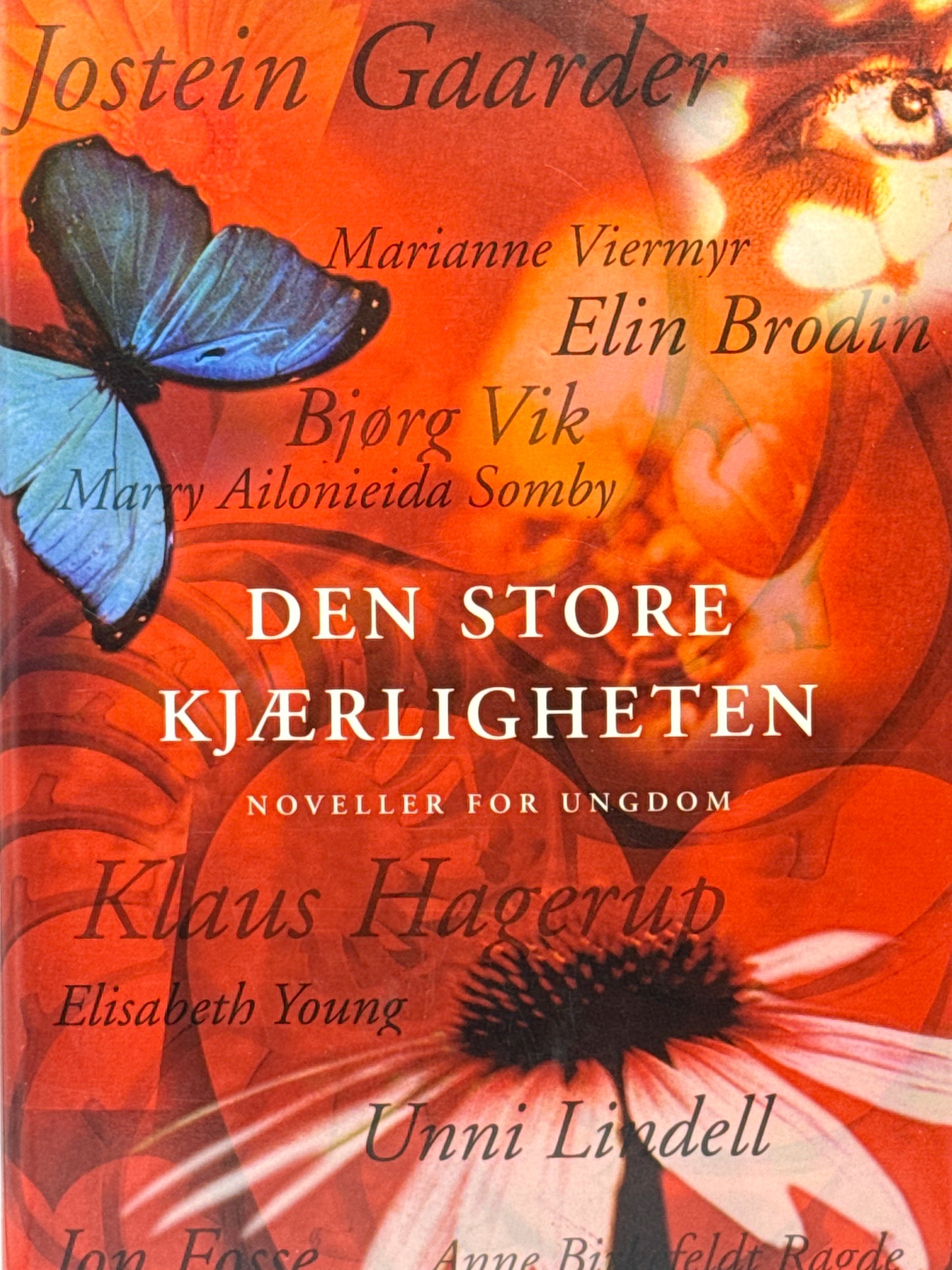 Den store kjaerligheten - Innbundet