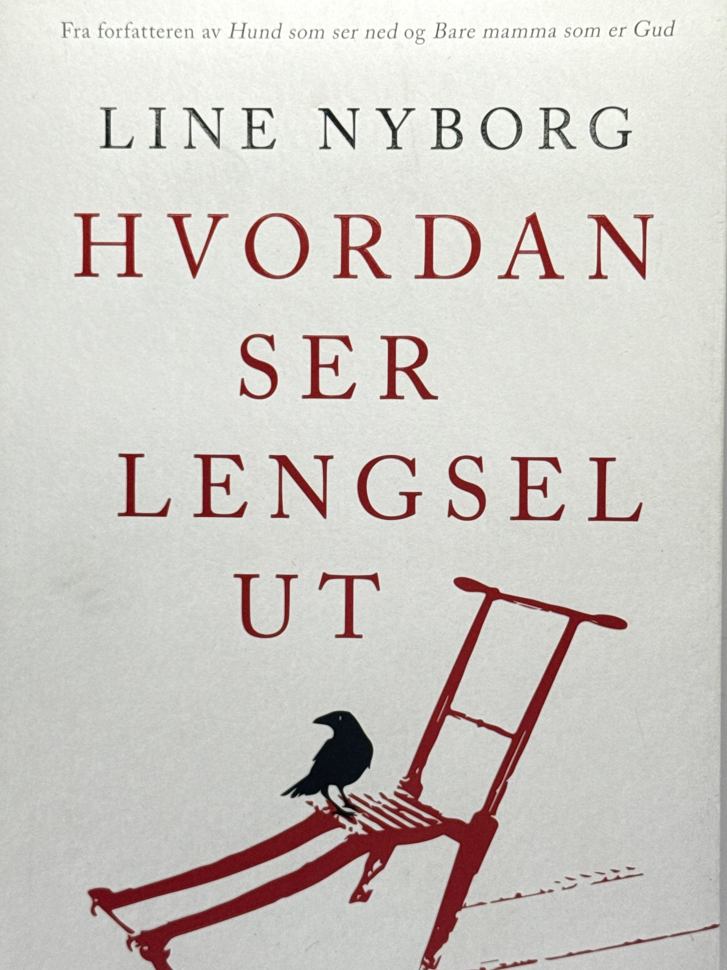 Hvordan ser lengsel ut - Innbundet