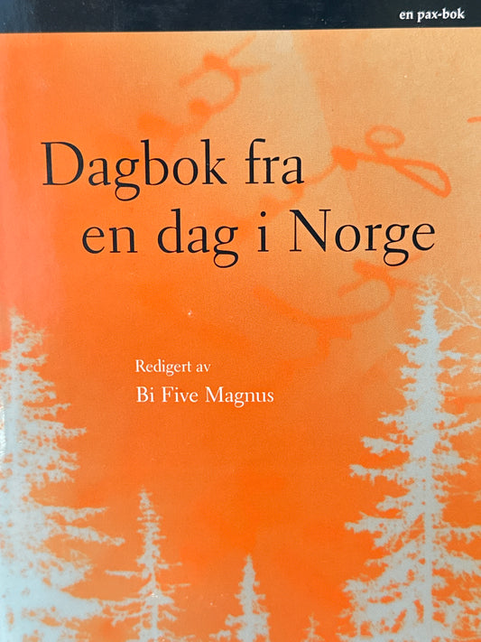 Dagbok fra en dag i Norge - Innbundet