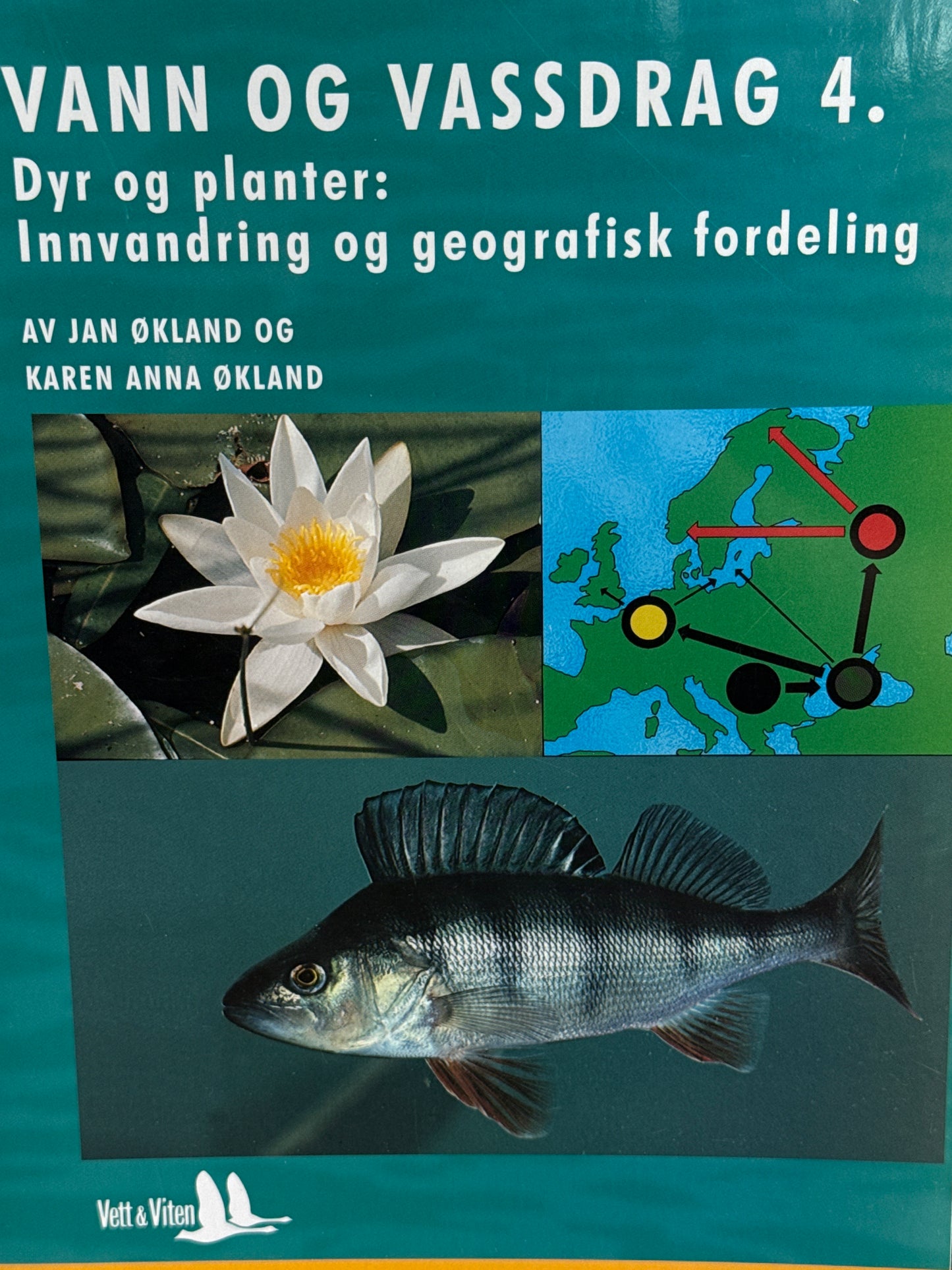 Vann og vassdrag 4 - Pocket