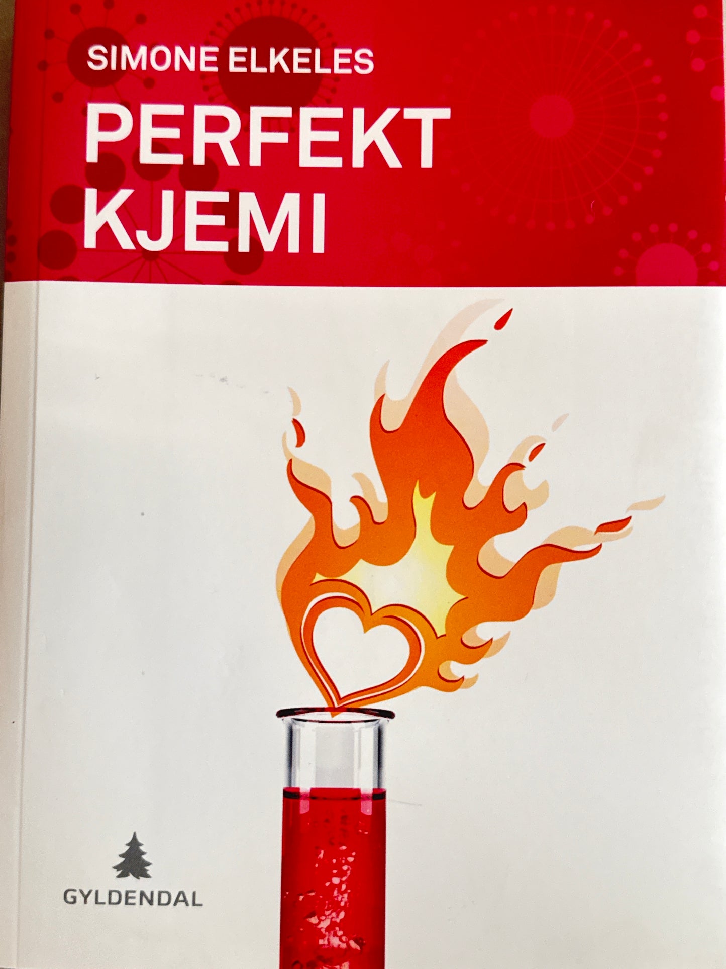 Perfekt kjemi - Pocket
