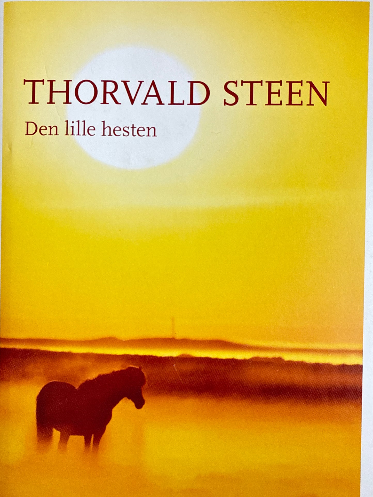 Den lille hesten - Innbundet