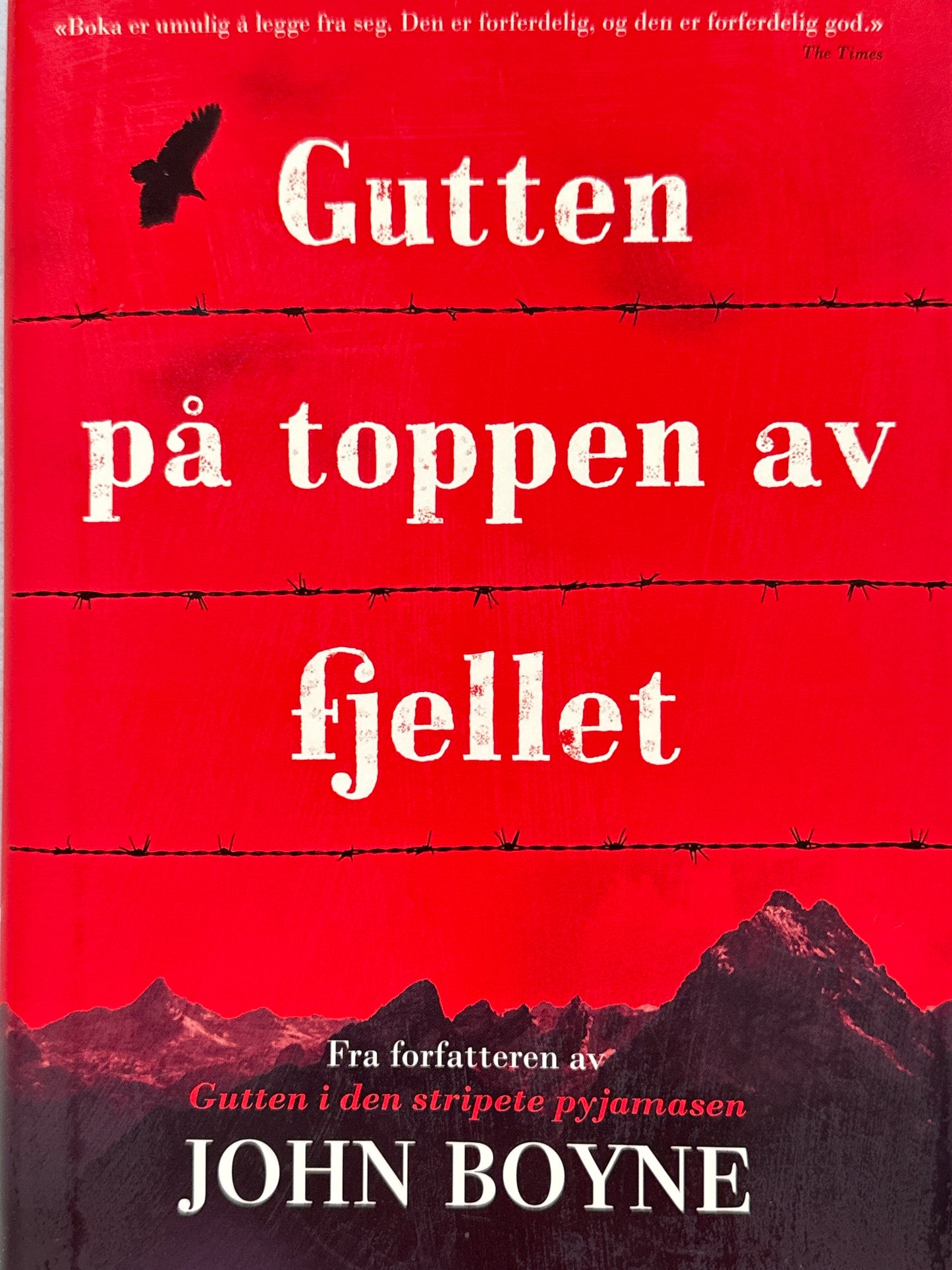 Gutten på toppen av fjellet - Innbundet