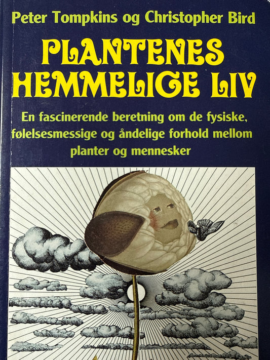Plantenes hemmelige liv - Pocket