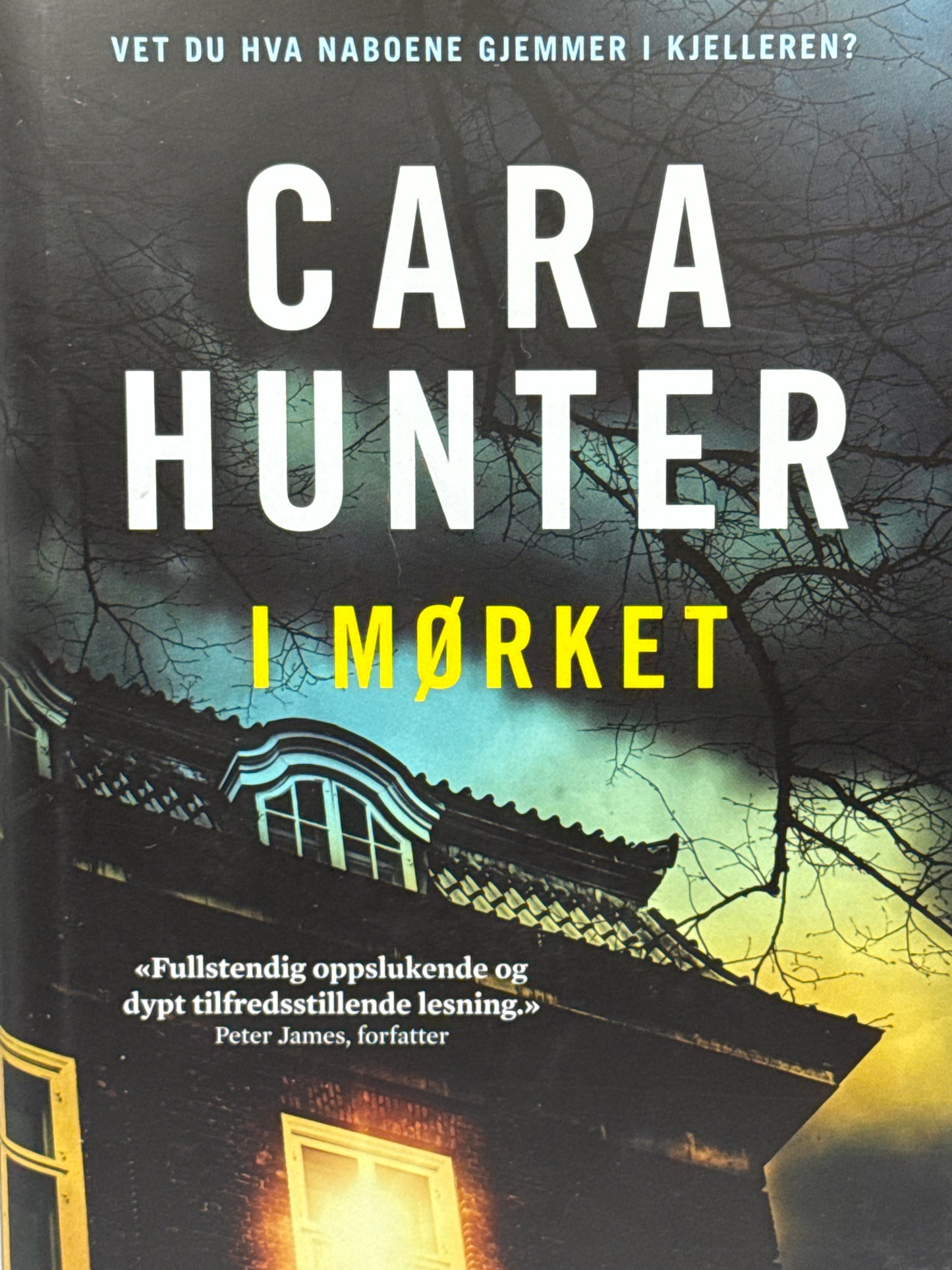 I mørket - Innbundet