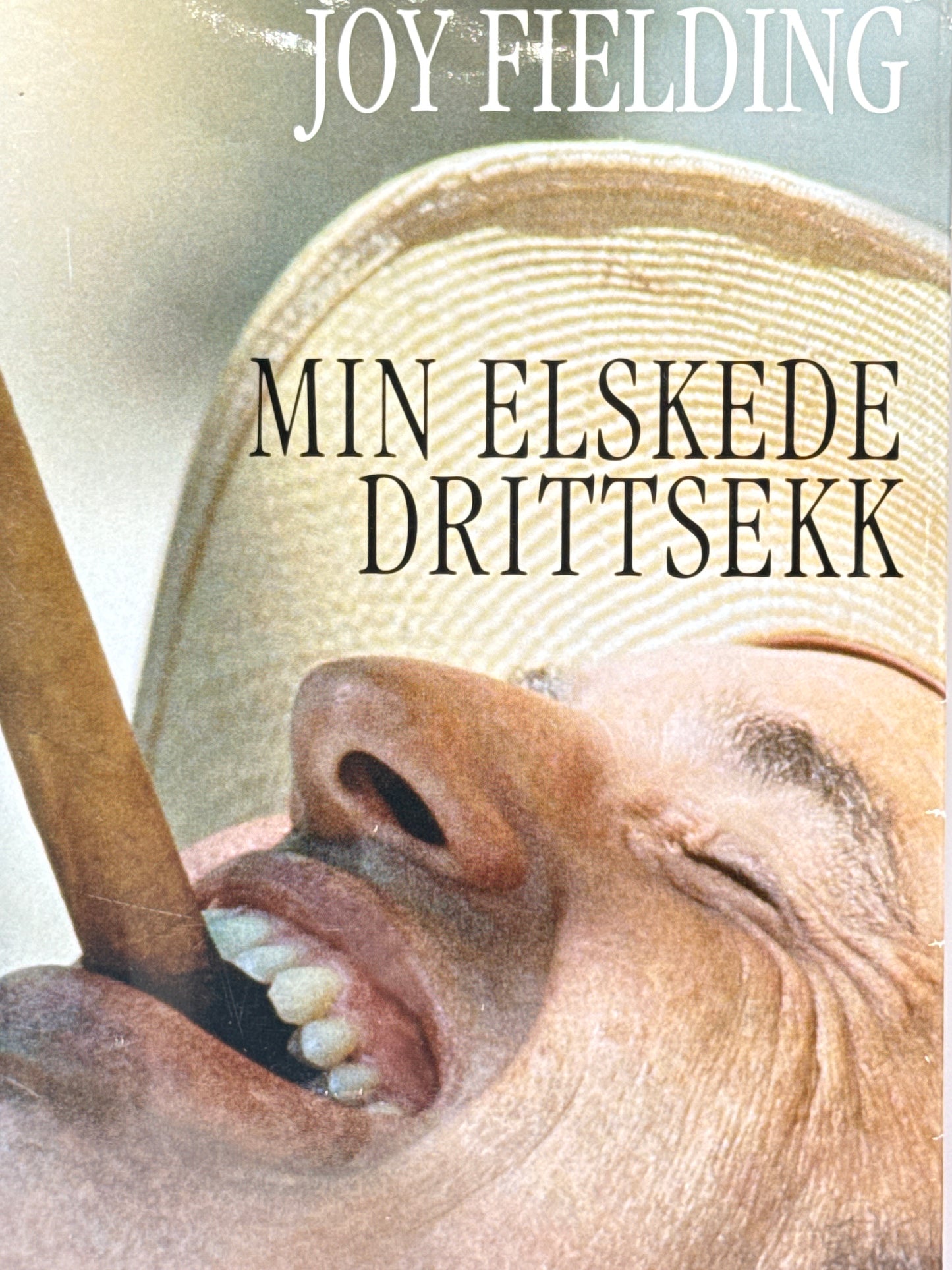Min elskede drittsekk - Innbundet