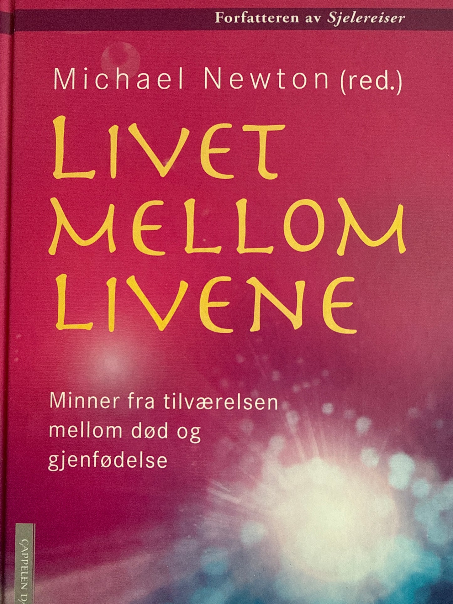 Livet mellom livene - Innbundet