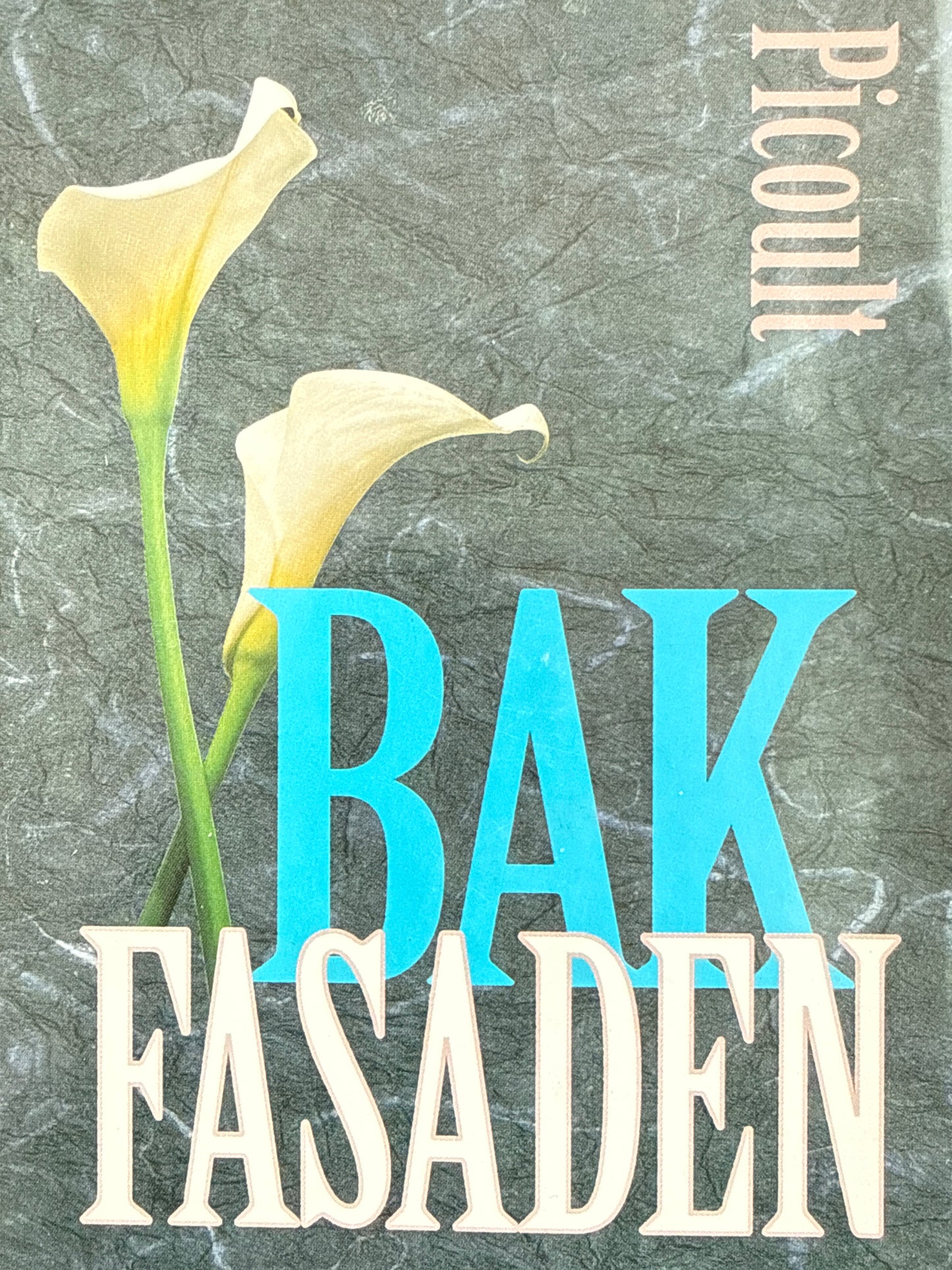 Bak fasaden - Innbundet