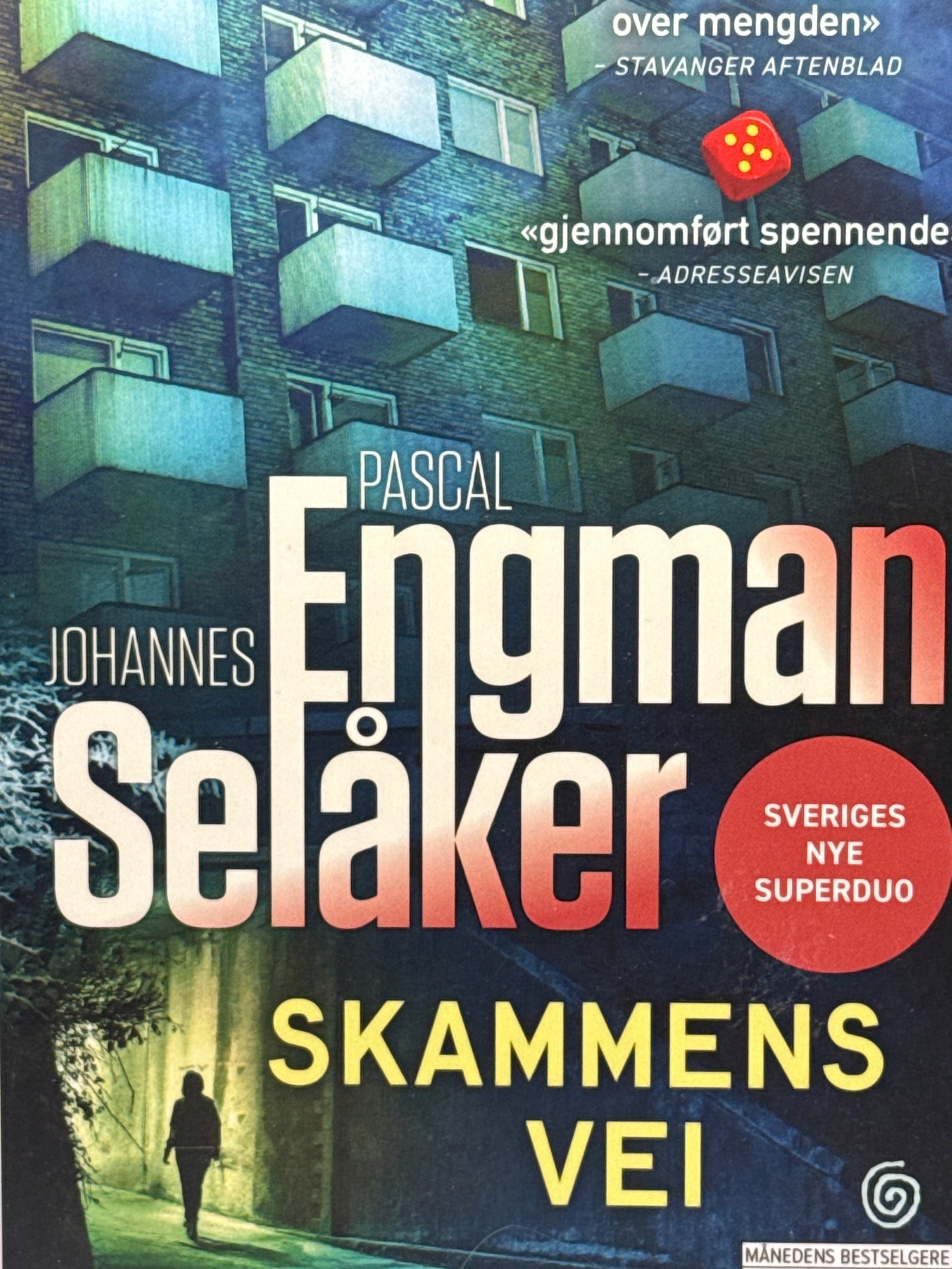 Skammens vei - Pocket
