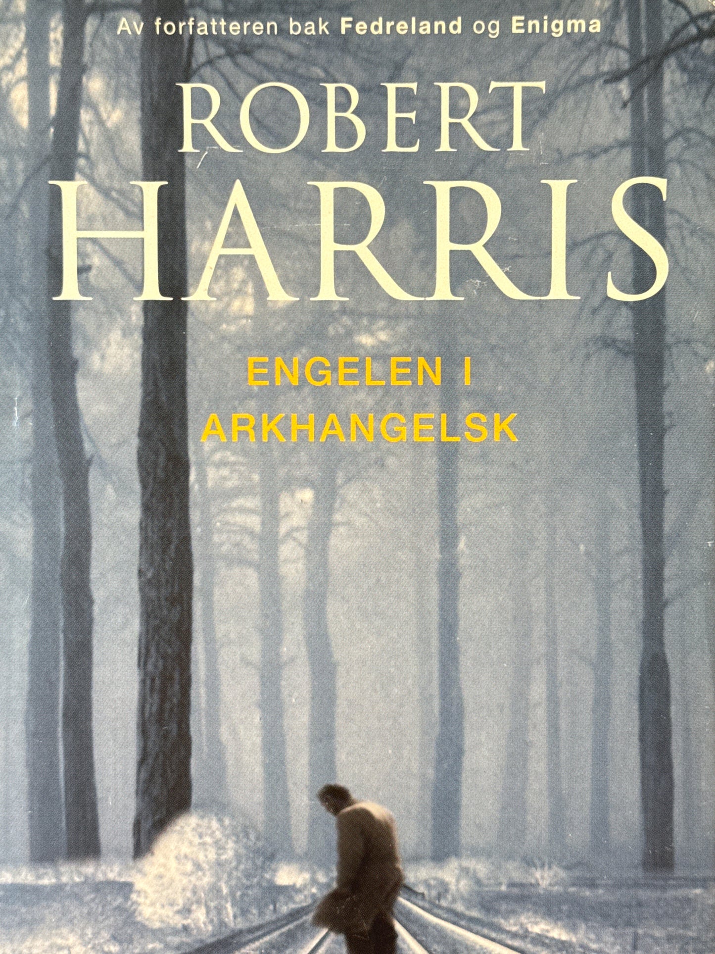 Engelen i Arkhangelsk - Innbundet