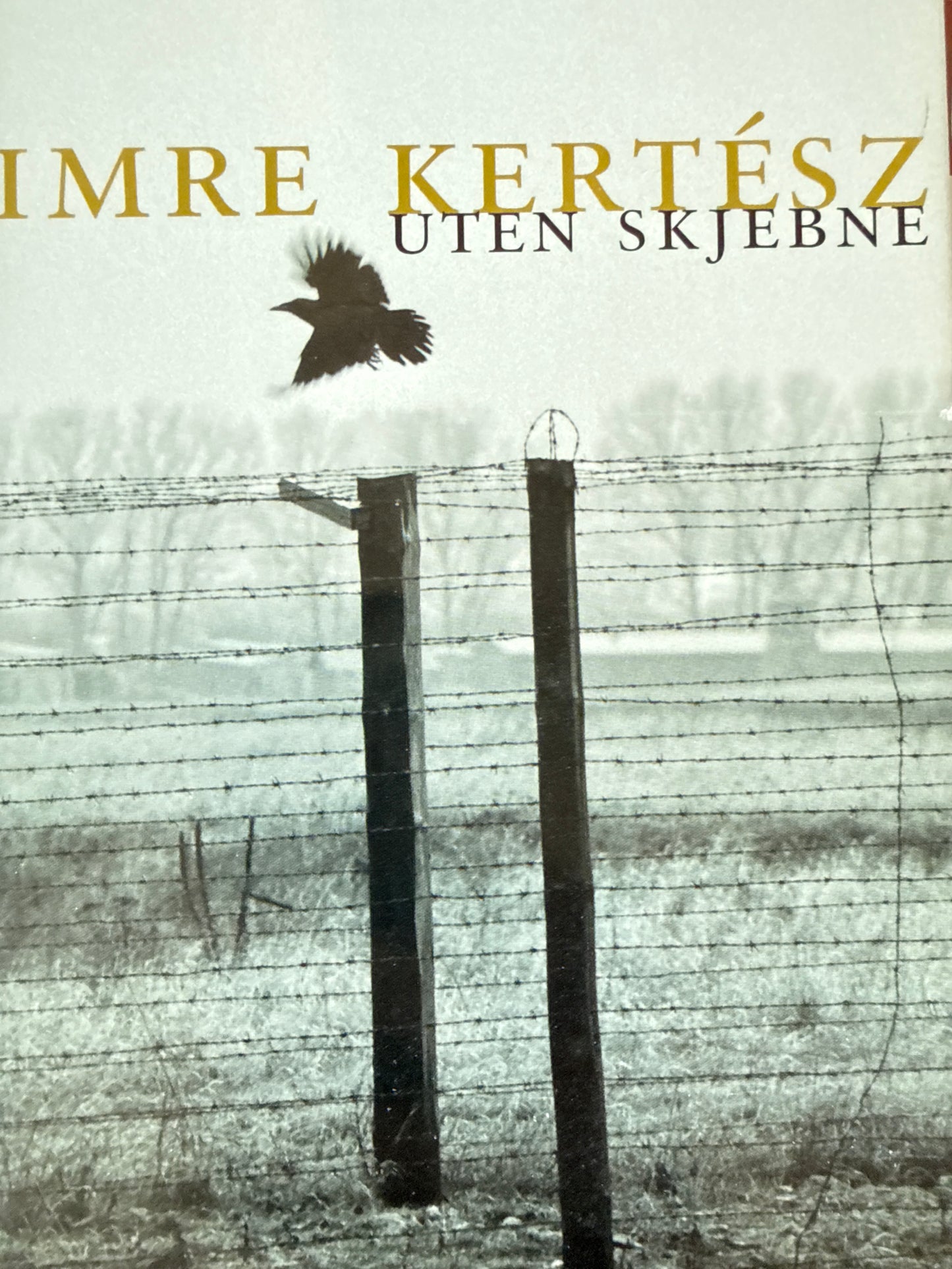 Uten skjebne - Innbundet