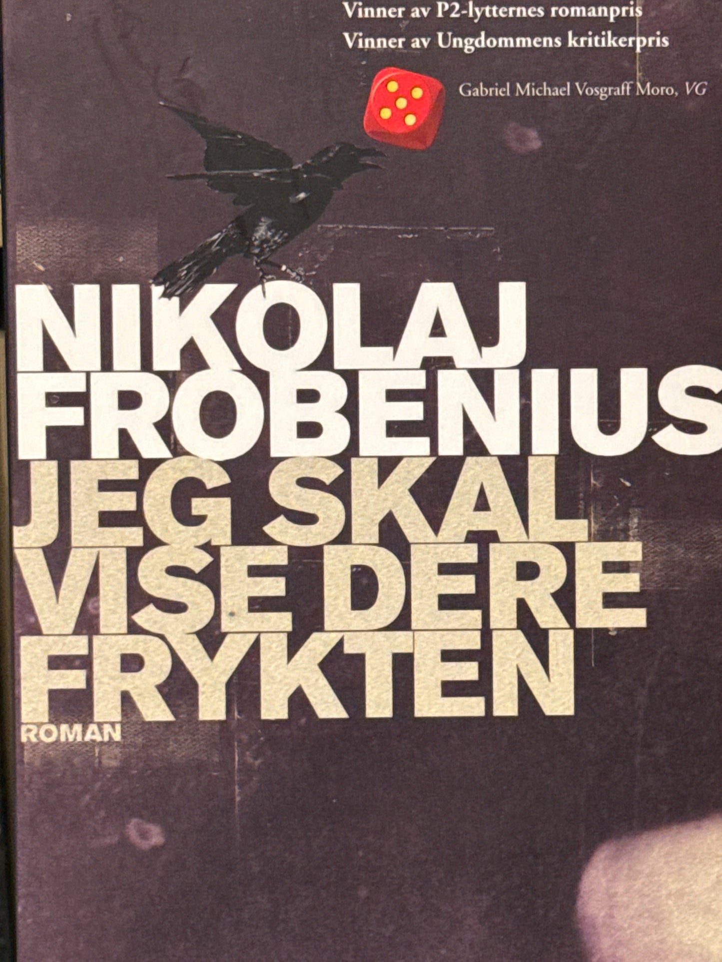 Jeg skal vise dere frykten - Pocket