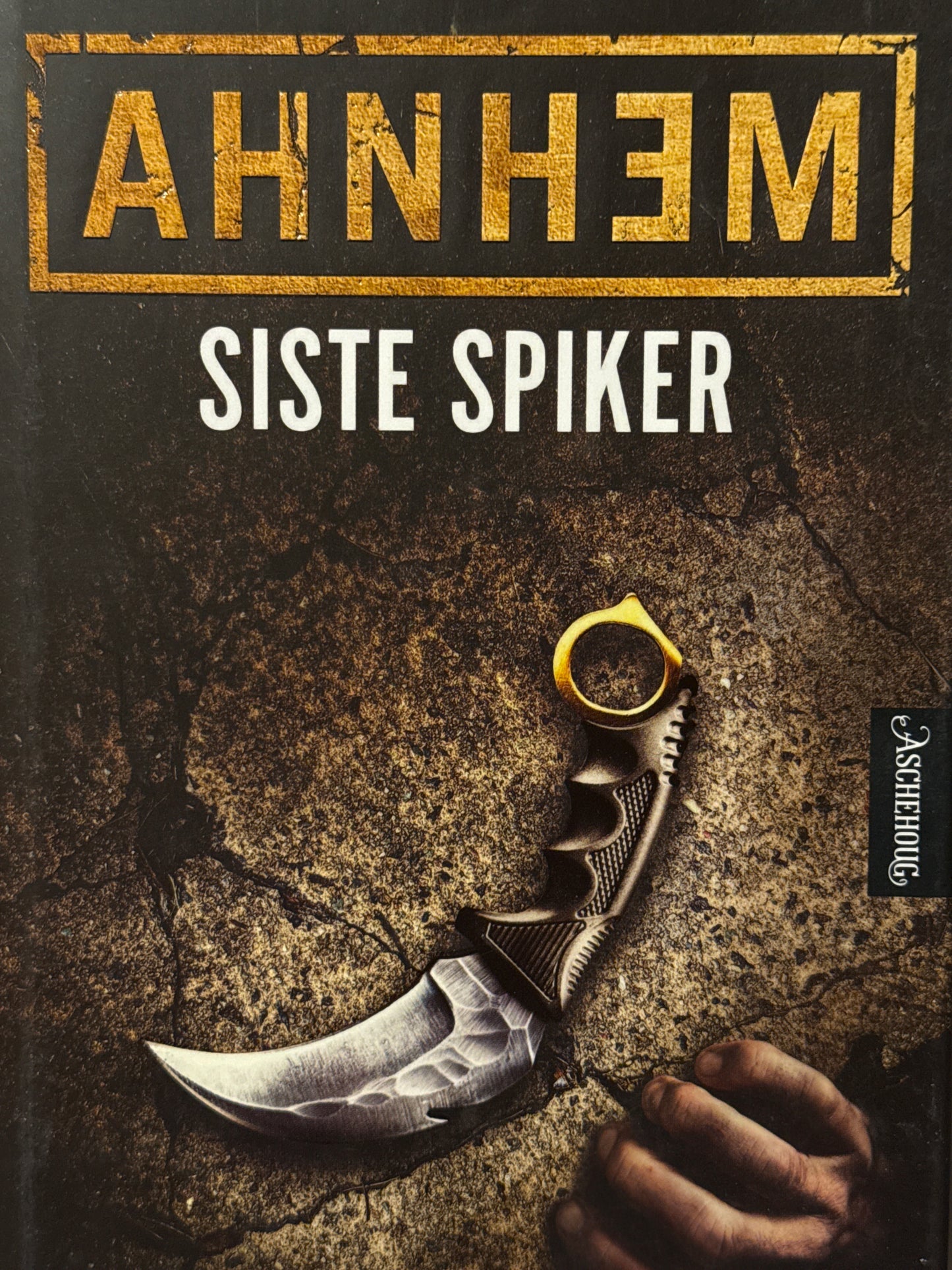 Siste spiker - Innbundet