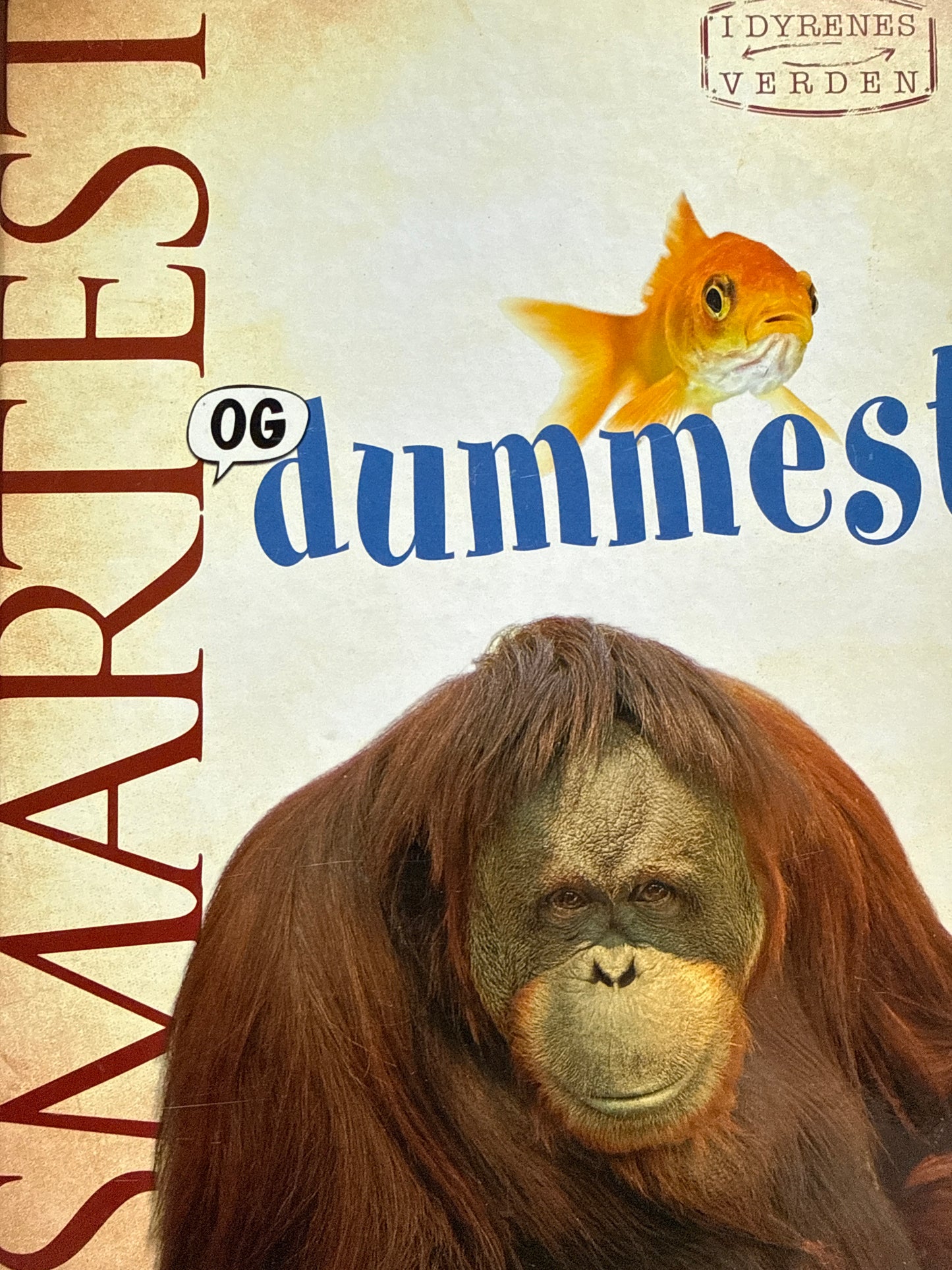 Smartest og dummest - Innbundet