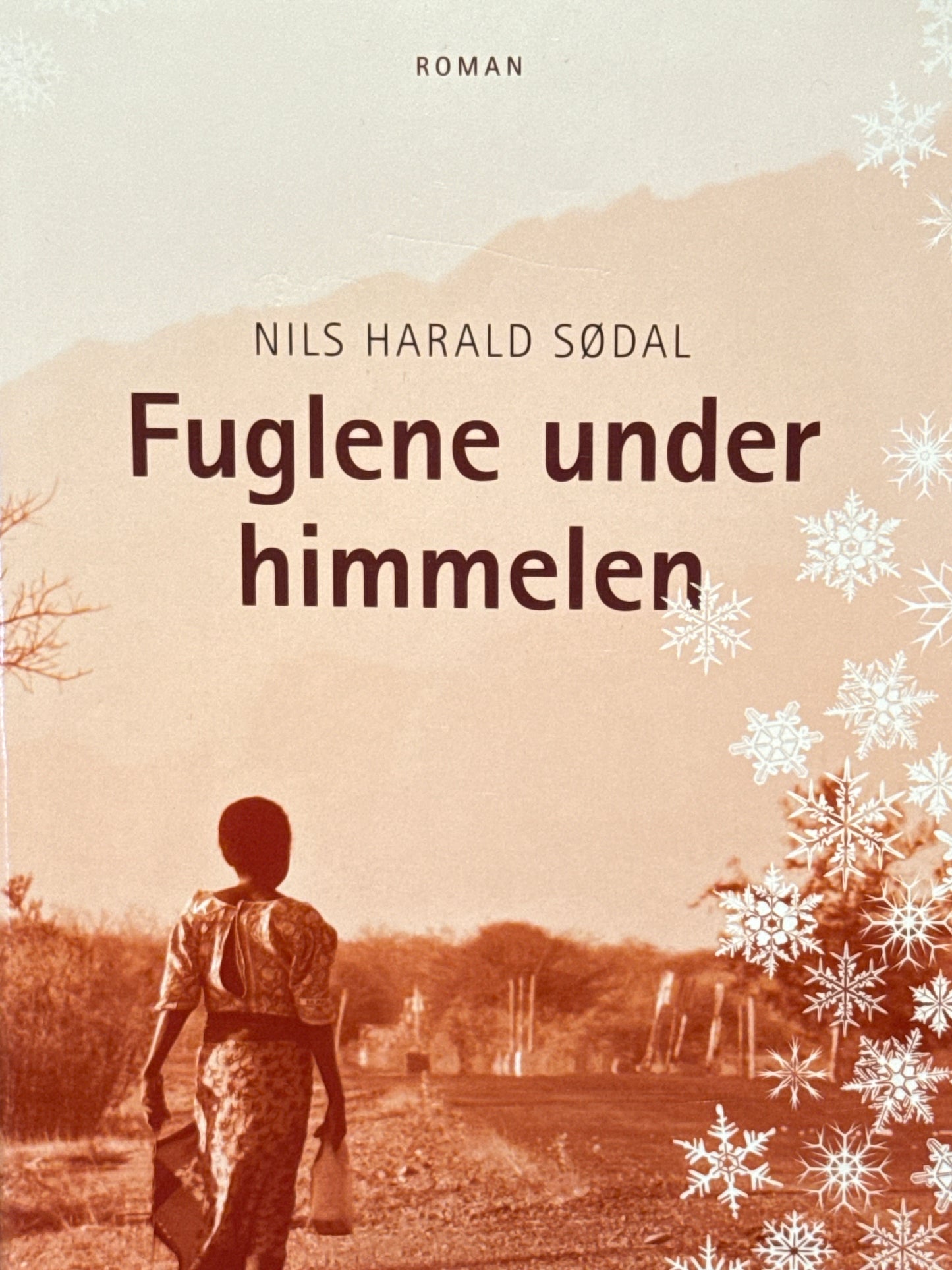 Fuglene under himmelen - Innbundet