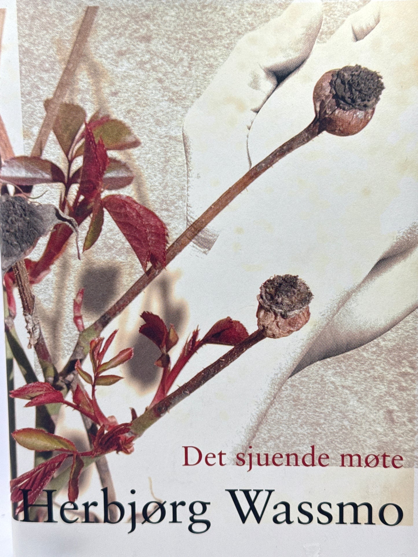 Det sjuende møte - Innbundet