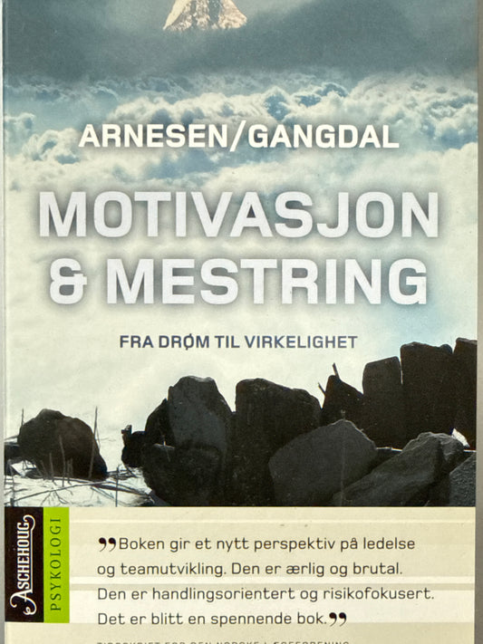 Motivasjon & mestring - Pocket