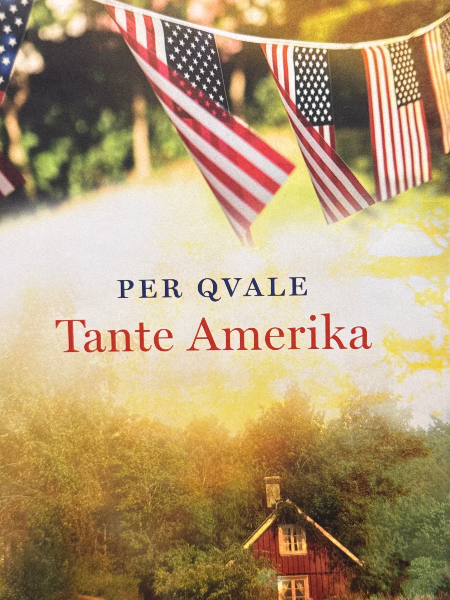 Tante Amerika - Innbundet