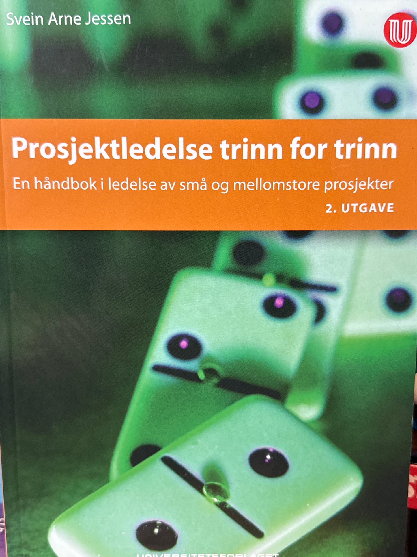 Prosjektledelse trinn for trinn - Pocket