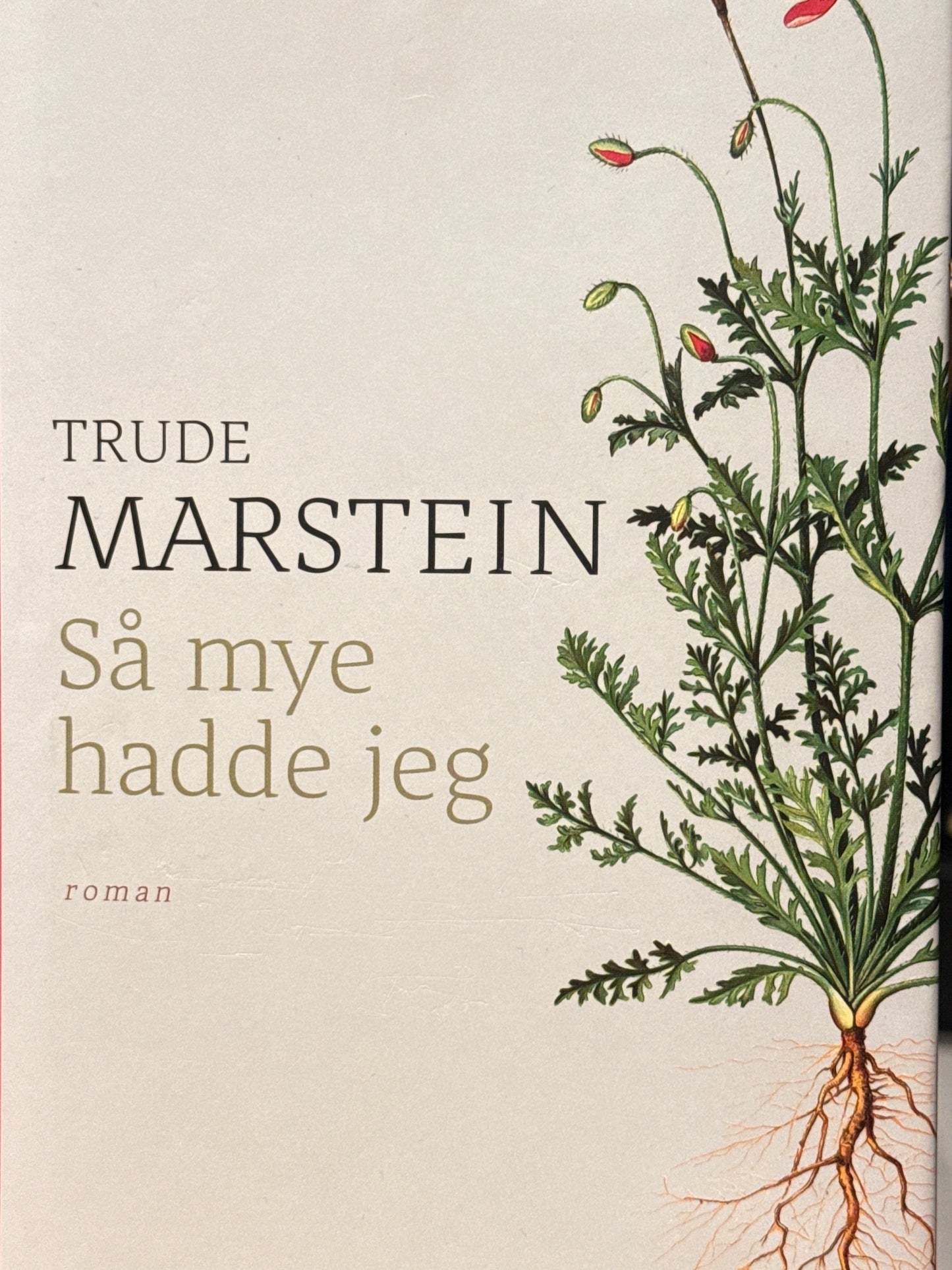 Så mye hadde jeg - Innbundet