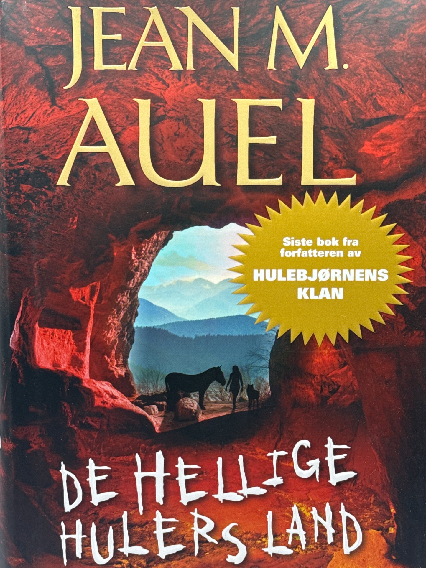 De hellige hulers land - Innbundet