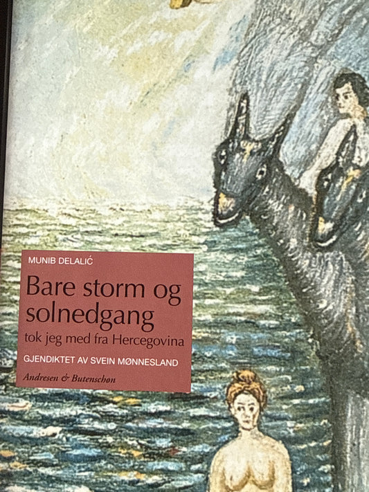 Bare storm og solnedgang tok jeg med fra Hercegovina - Innbundet
