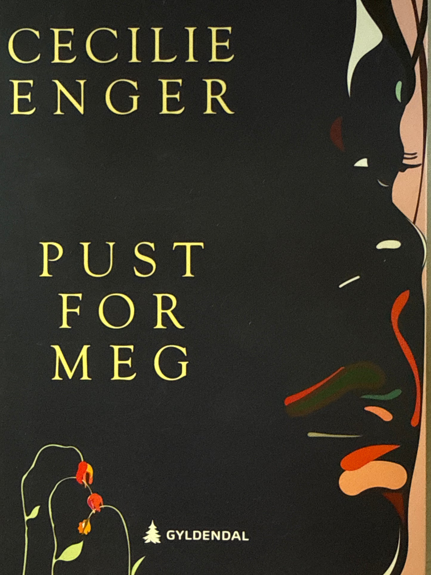 Pust for meg - Pocket