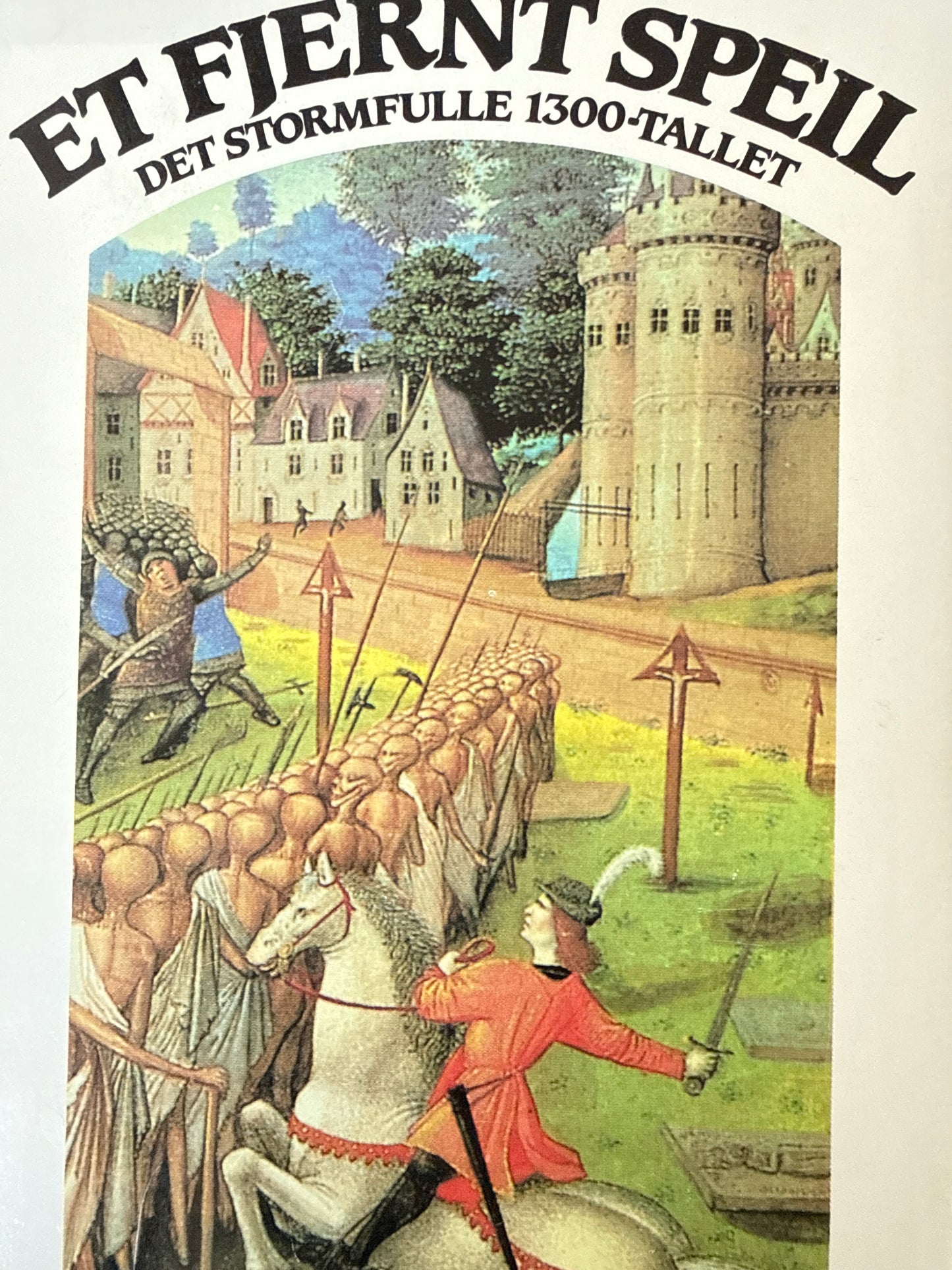 Et fjernt speil - Innbundet