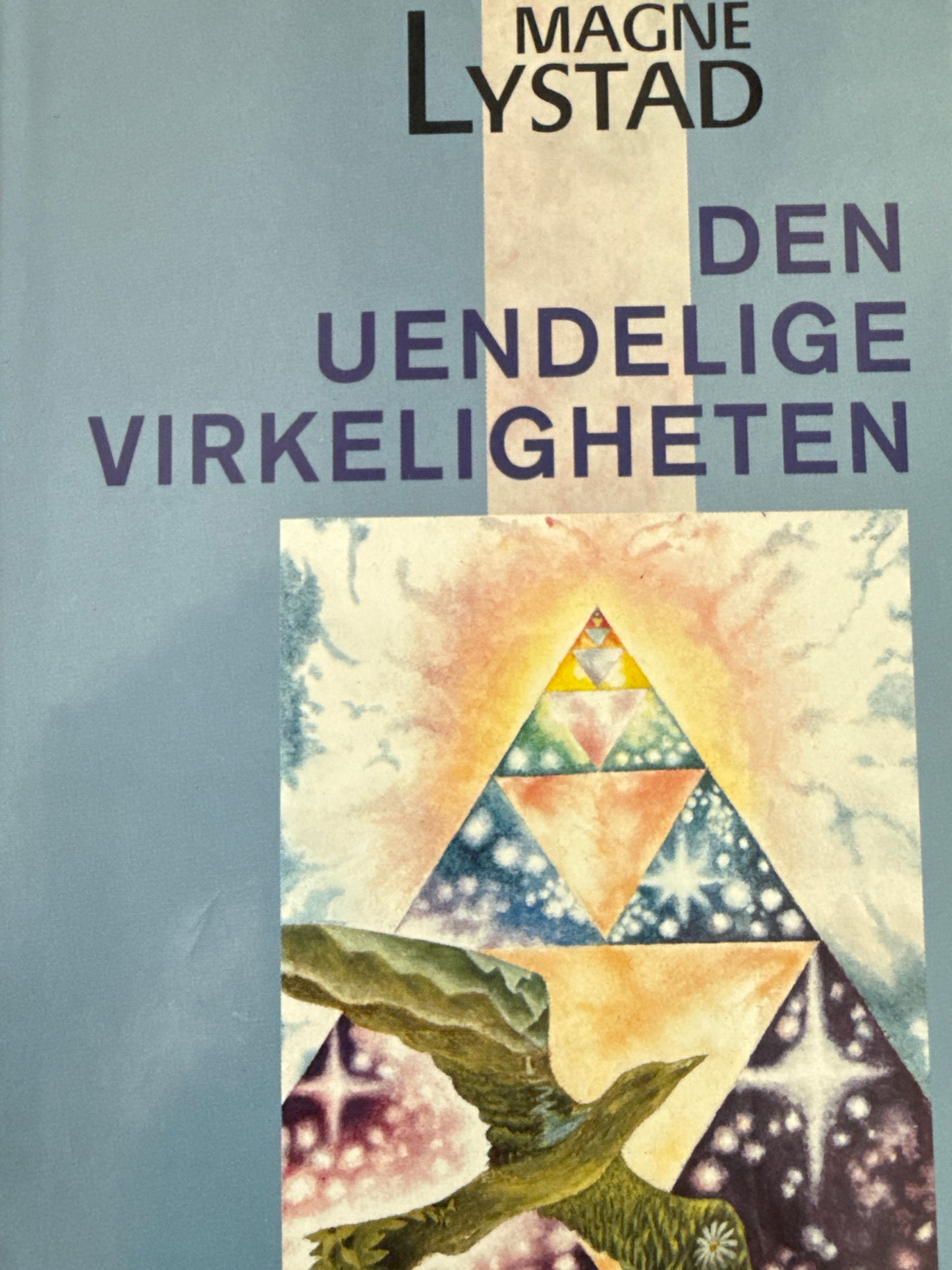 Den uendelige virkeligheten - Innbundet