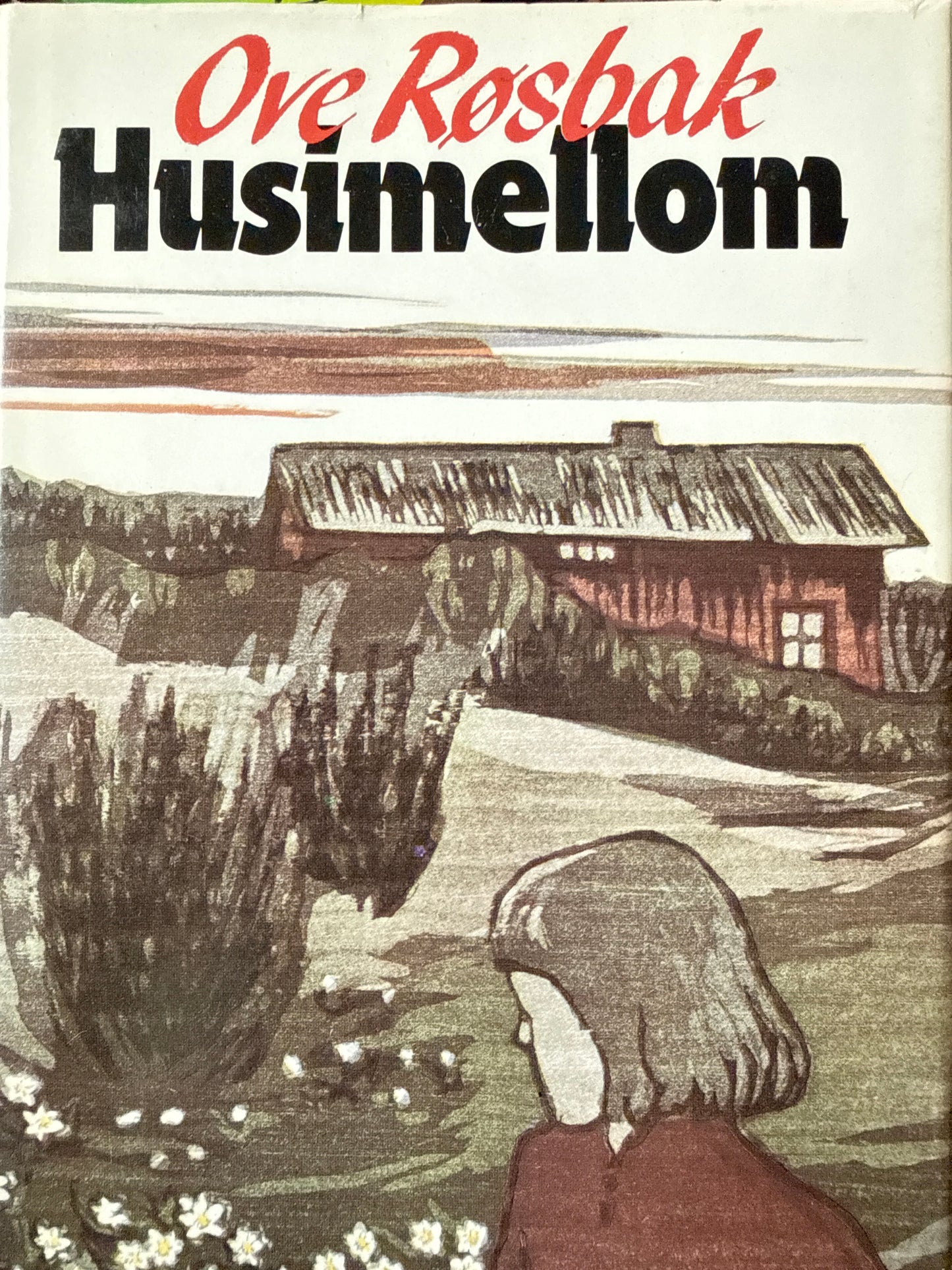 Husimellom - Innbundet
