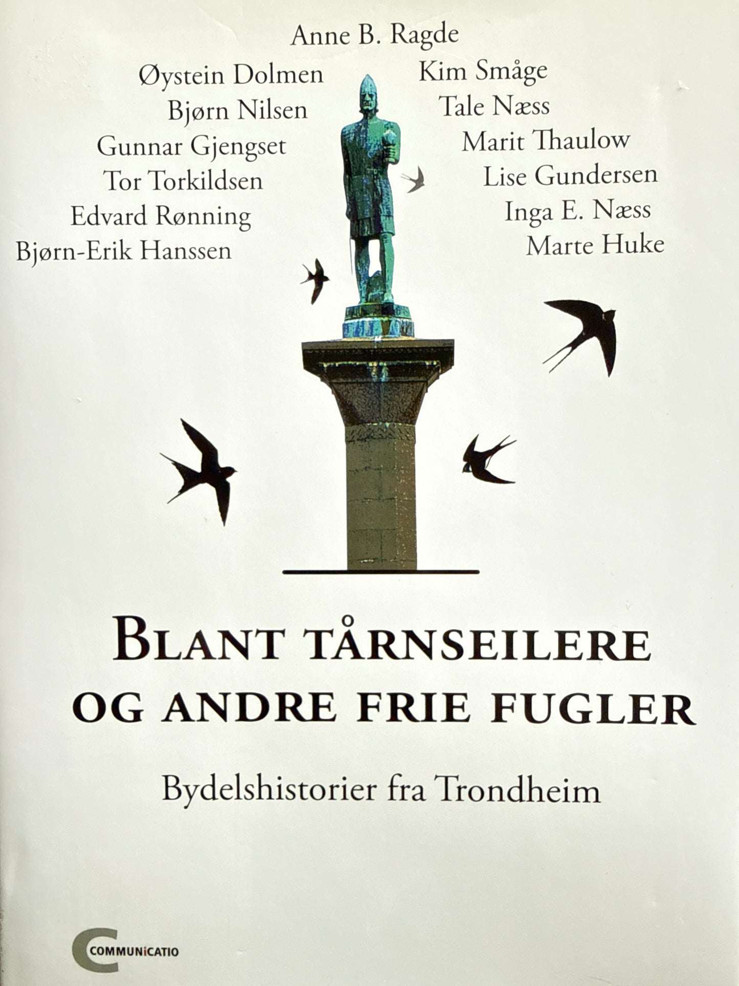 Blant tårnseilere og andre frie fugler - Innbundet