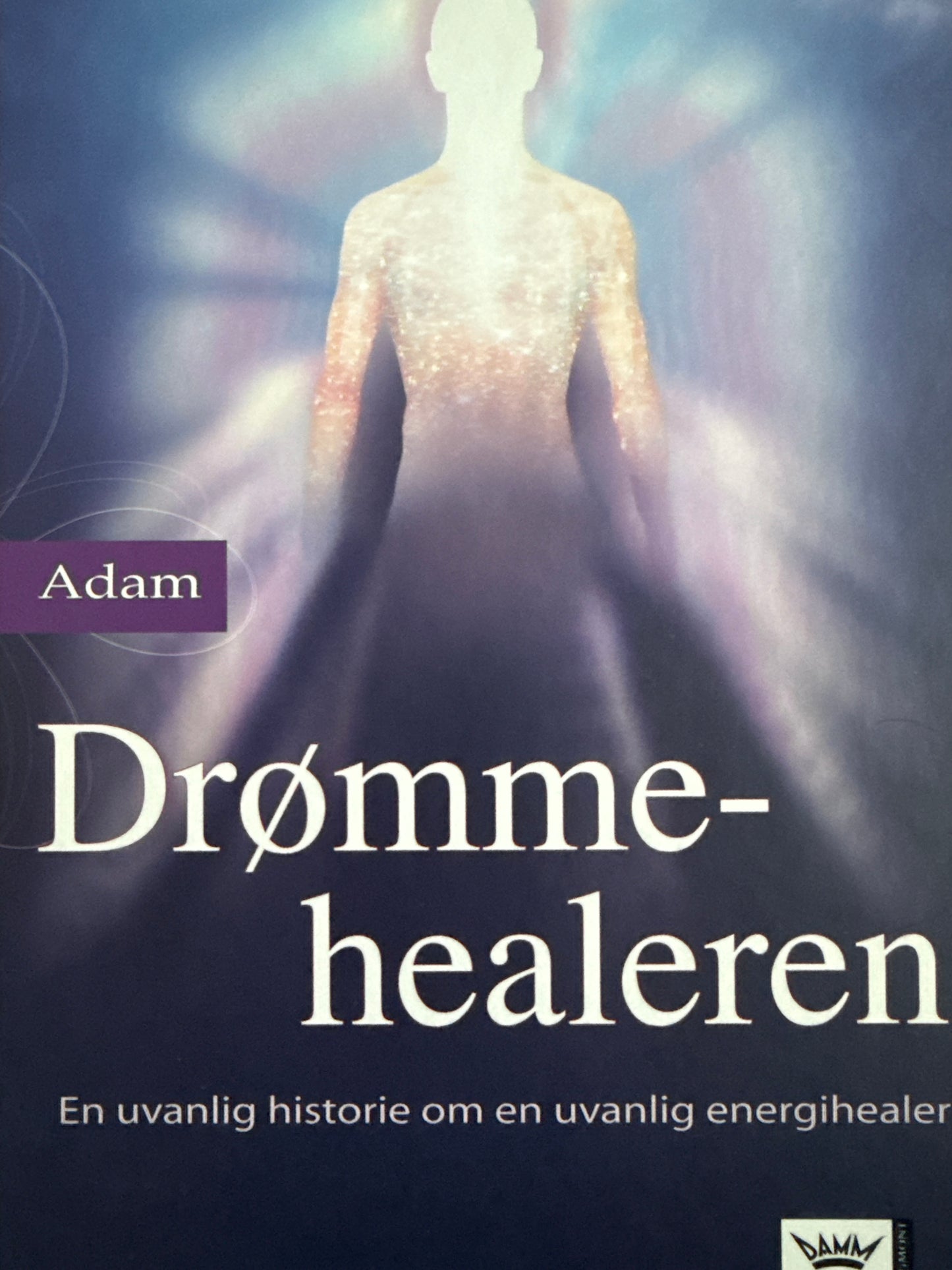 Drømmehealeren - Innbundet