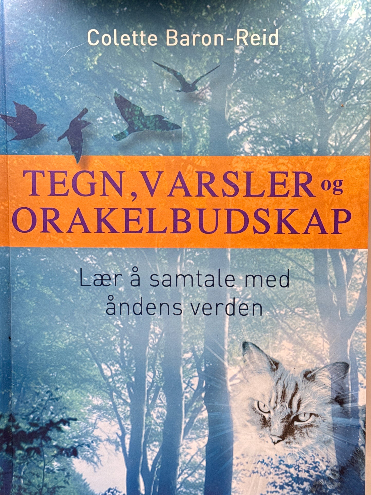 Tegn, varsler og orakelbudskap - Innbundet