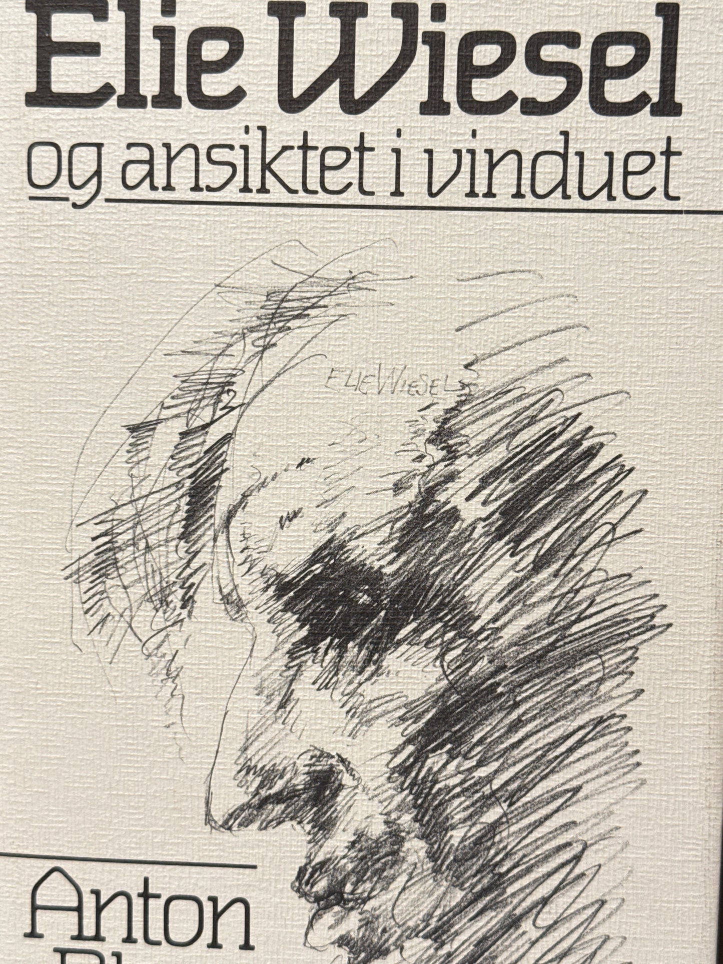 Elie Wiesel og ansiktet i vinduet - Innbundet