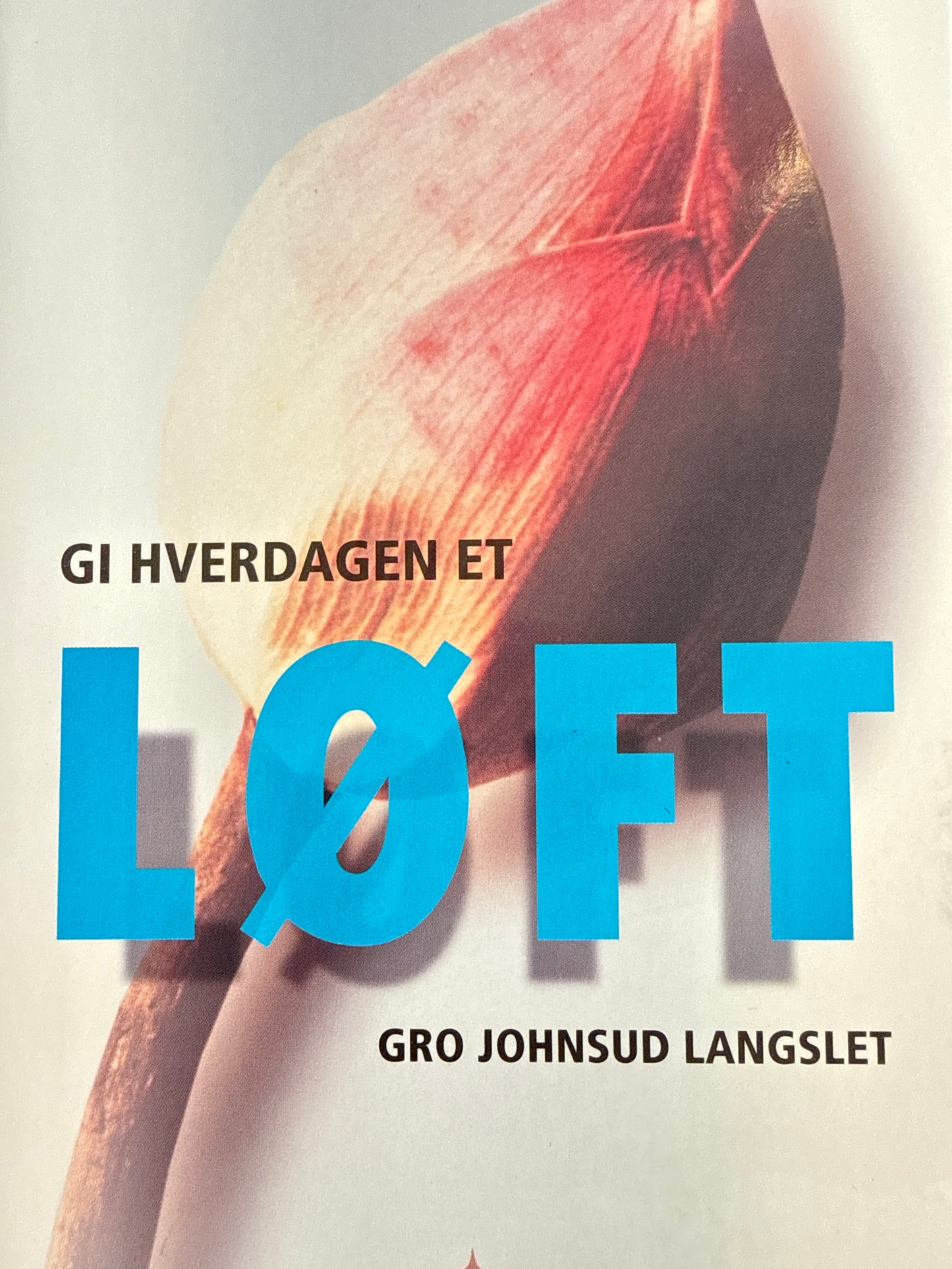 Gi hverdagen et løft!. - Pocket