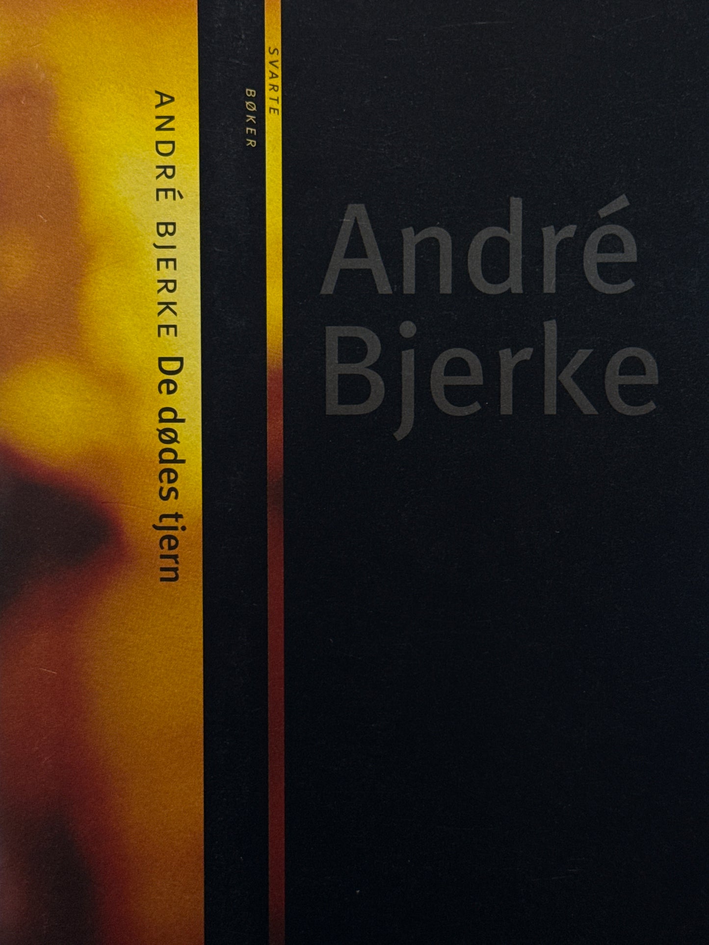 De dødes tjern - Innbundet