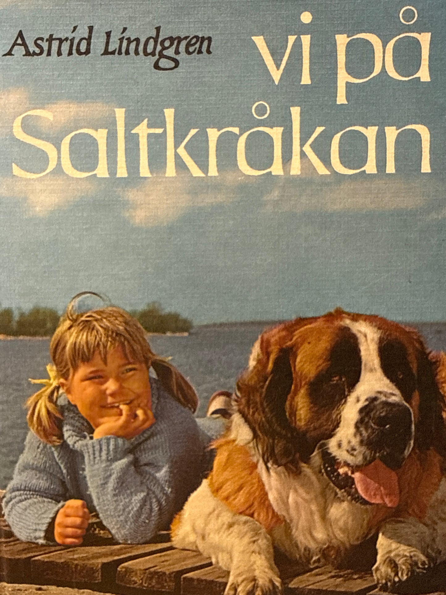 Vi på Saltkråkan - Innbundet