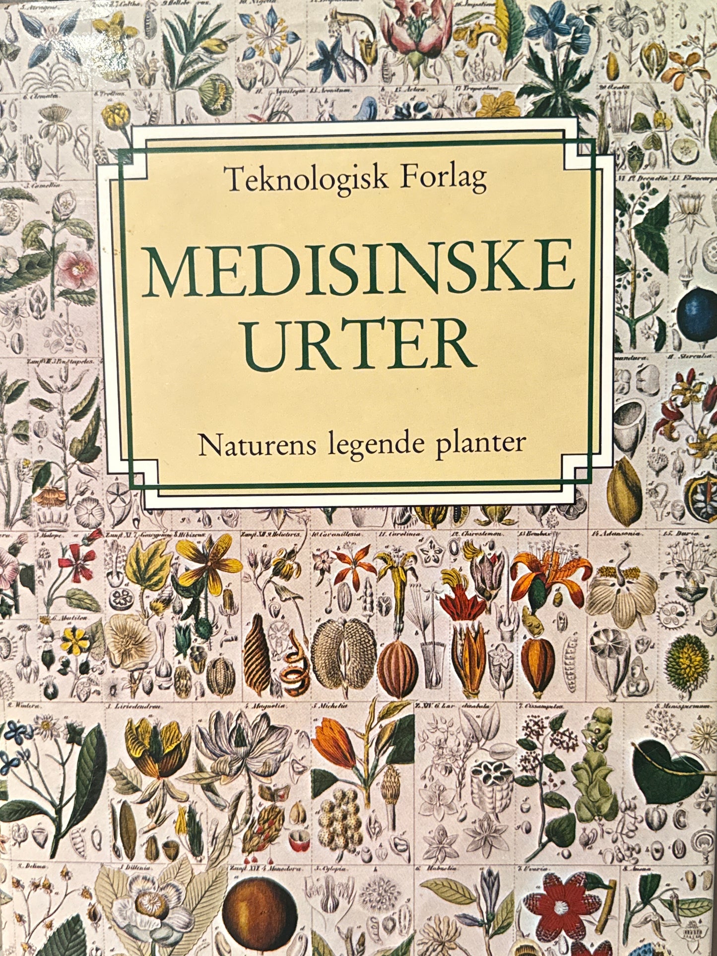 Medisinske urter - Innbundet