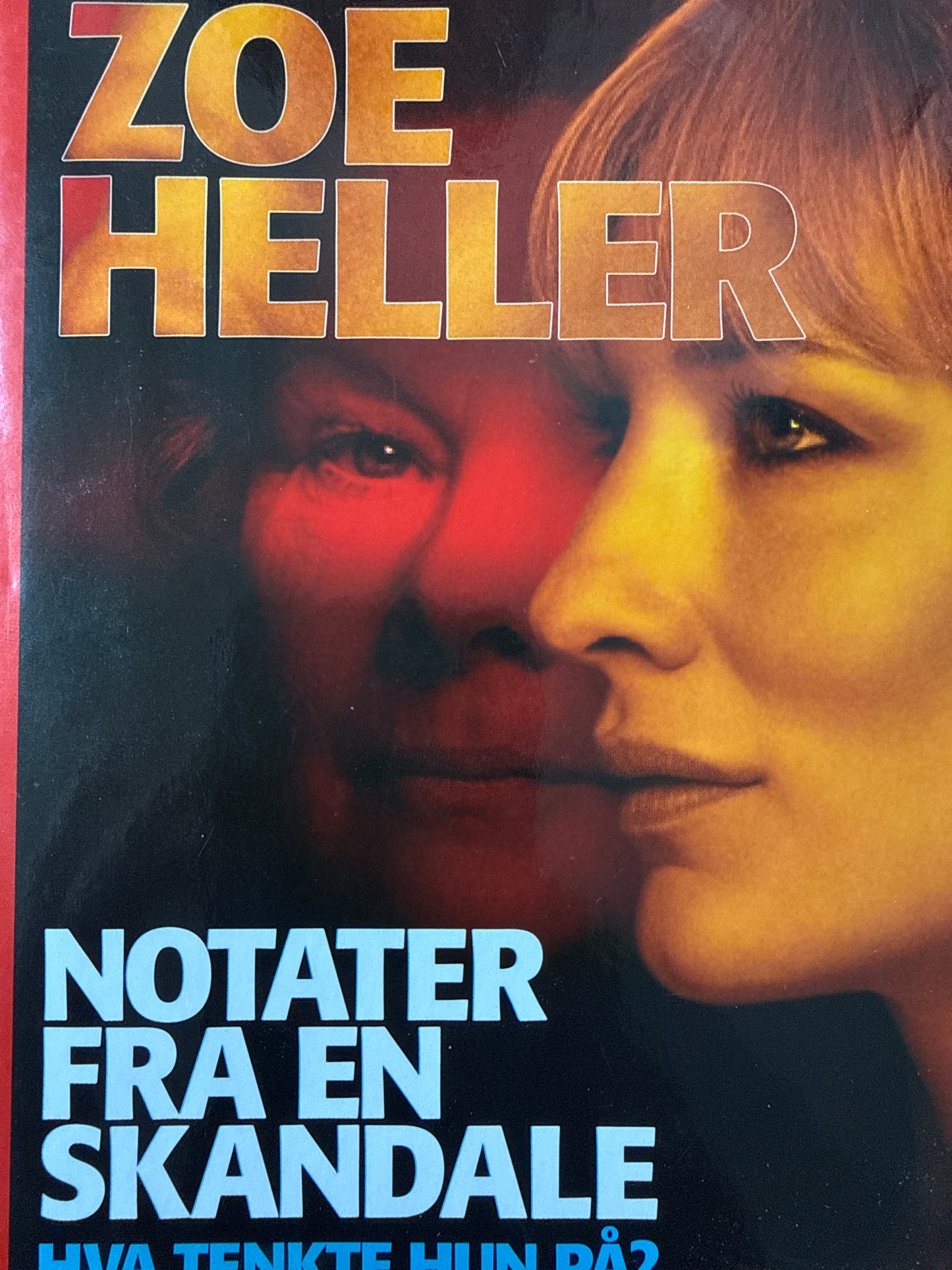 Notater fra en skandale; hva tenkte hun på? - Innbundet