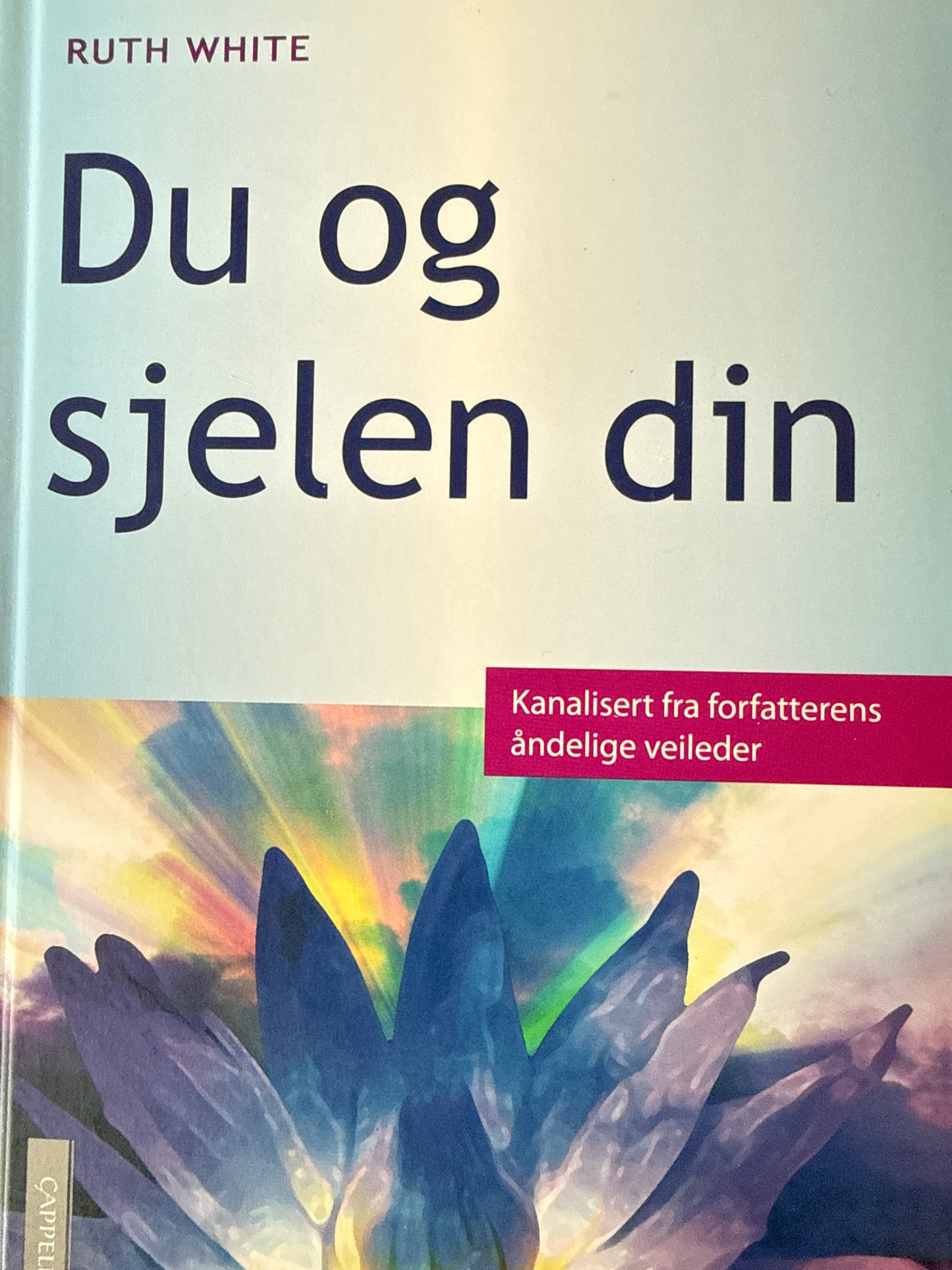 Du og sjelen din - Innbundet