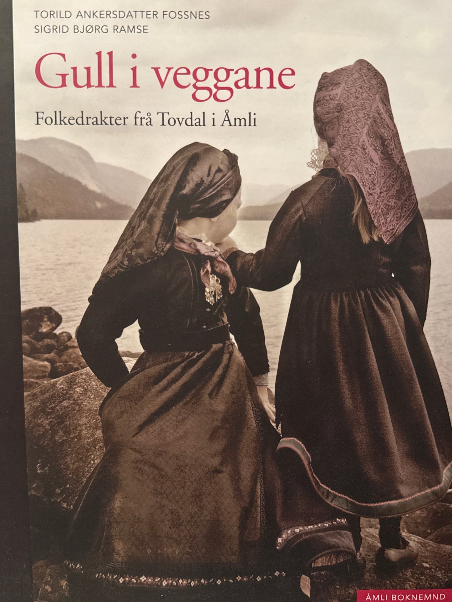 Gull i veggane ; folkedrakter frå Tovdal i Åmli - Innbundet