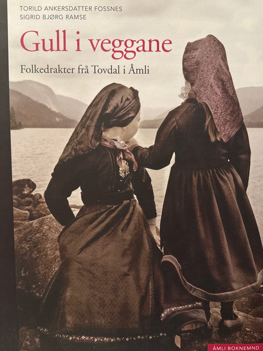 Gull i veggane ; folkedrakter frå Tovdal i Åmli - Innbundet
