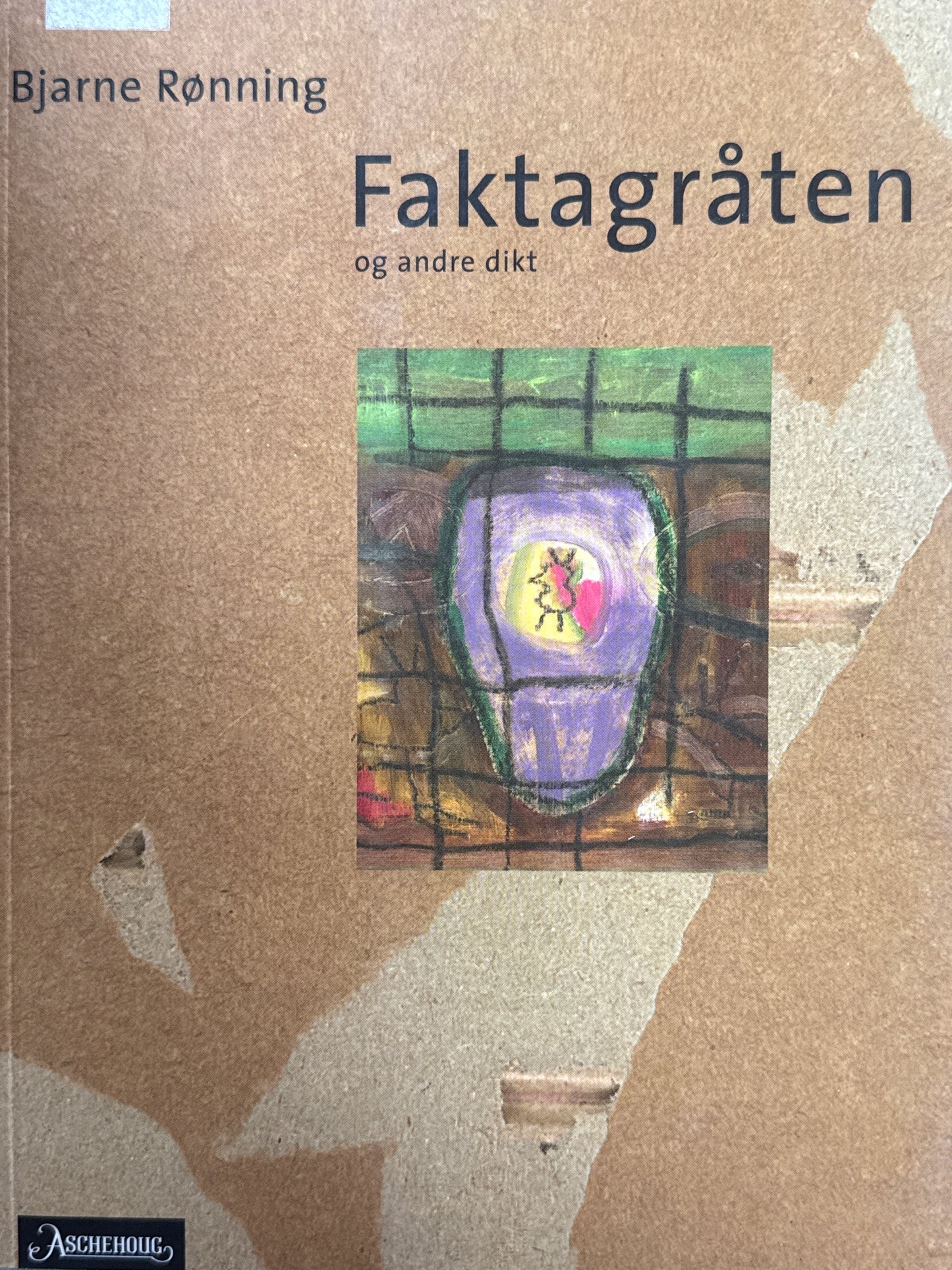 Faktagråten - Pocket