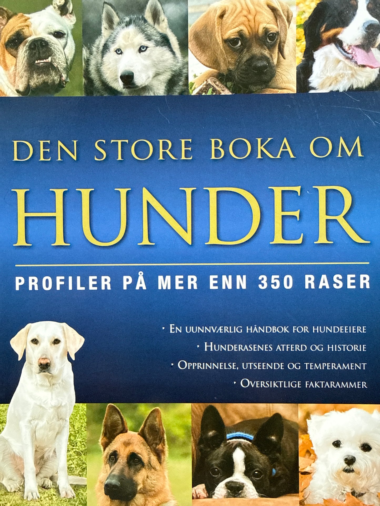 Den store boka om hunder - Innbundet